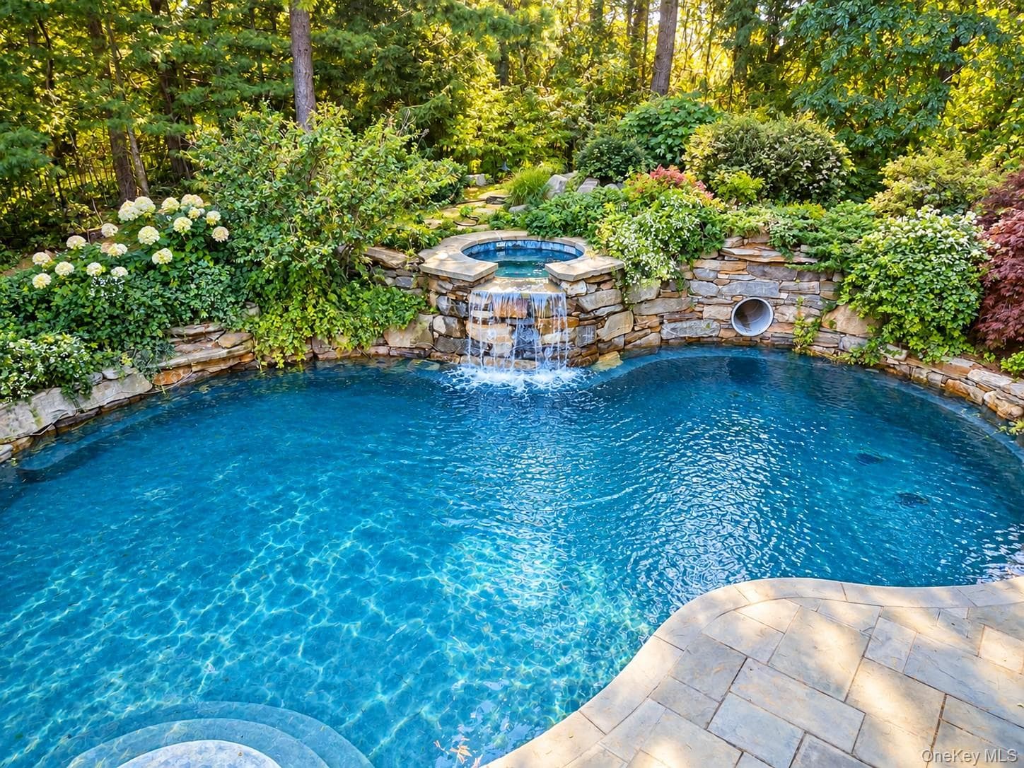 9 Earle Drive thumbnail 27