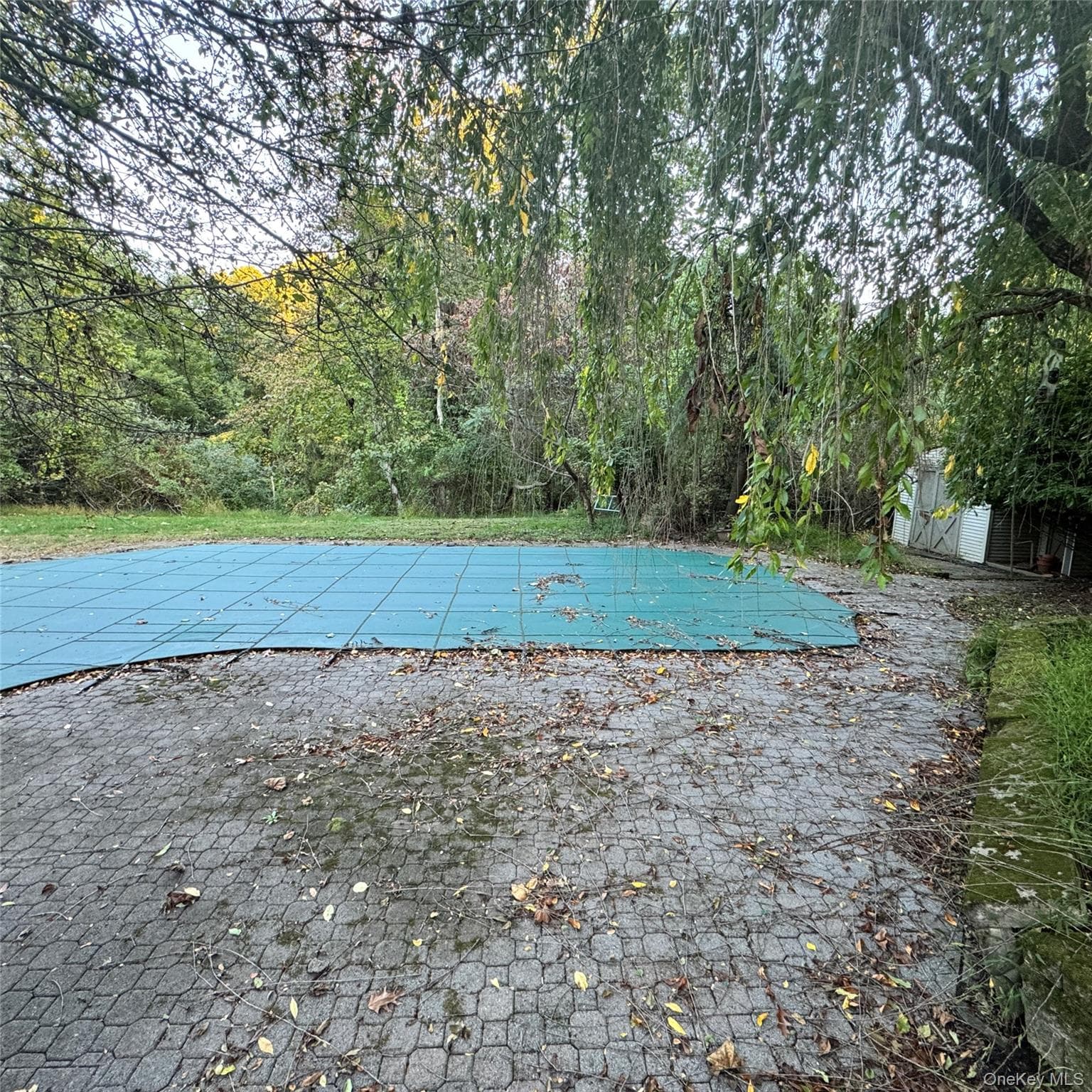 67 Steele Road thumbnail 7