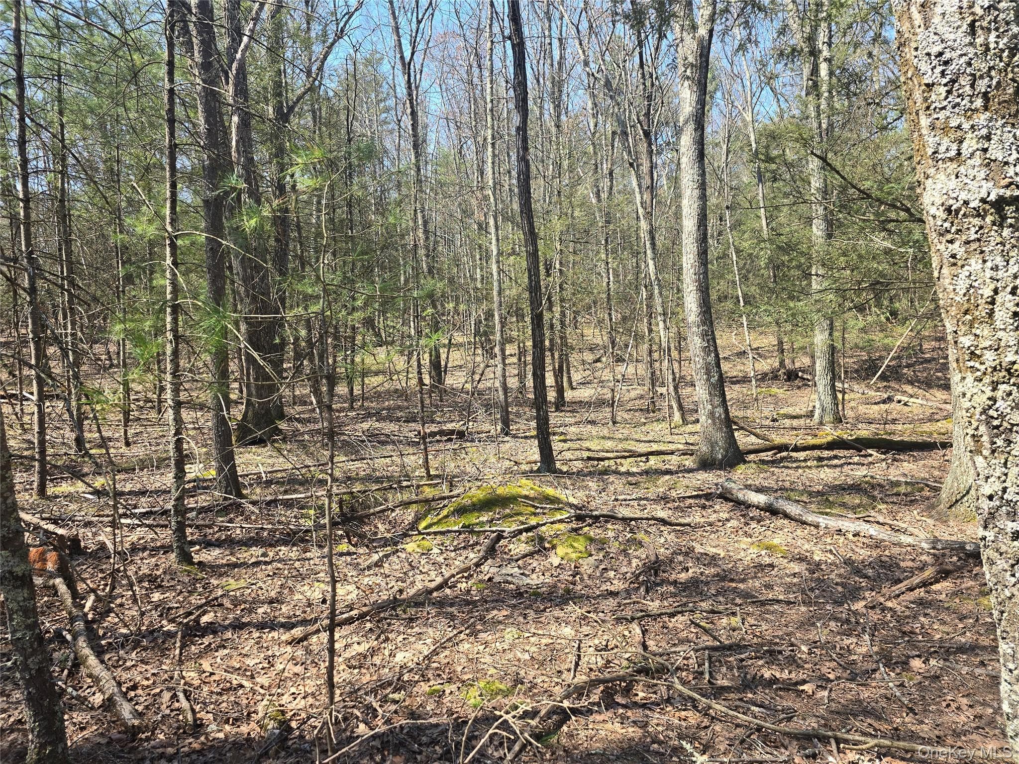 Lot 5 Evergreen Drive thumbnail 12