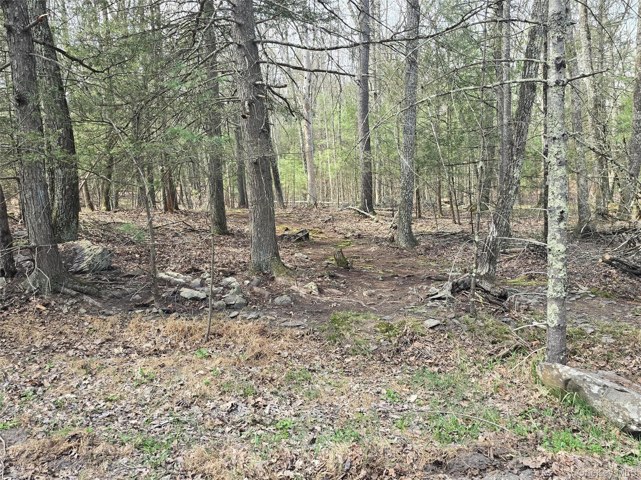 Lot 5 Evergreen Drive thumbnail 3