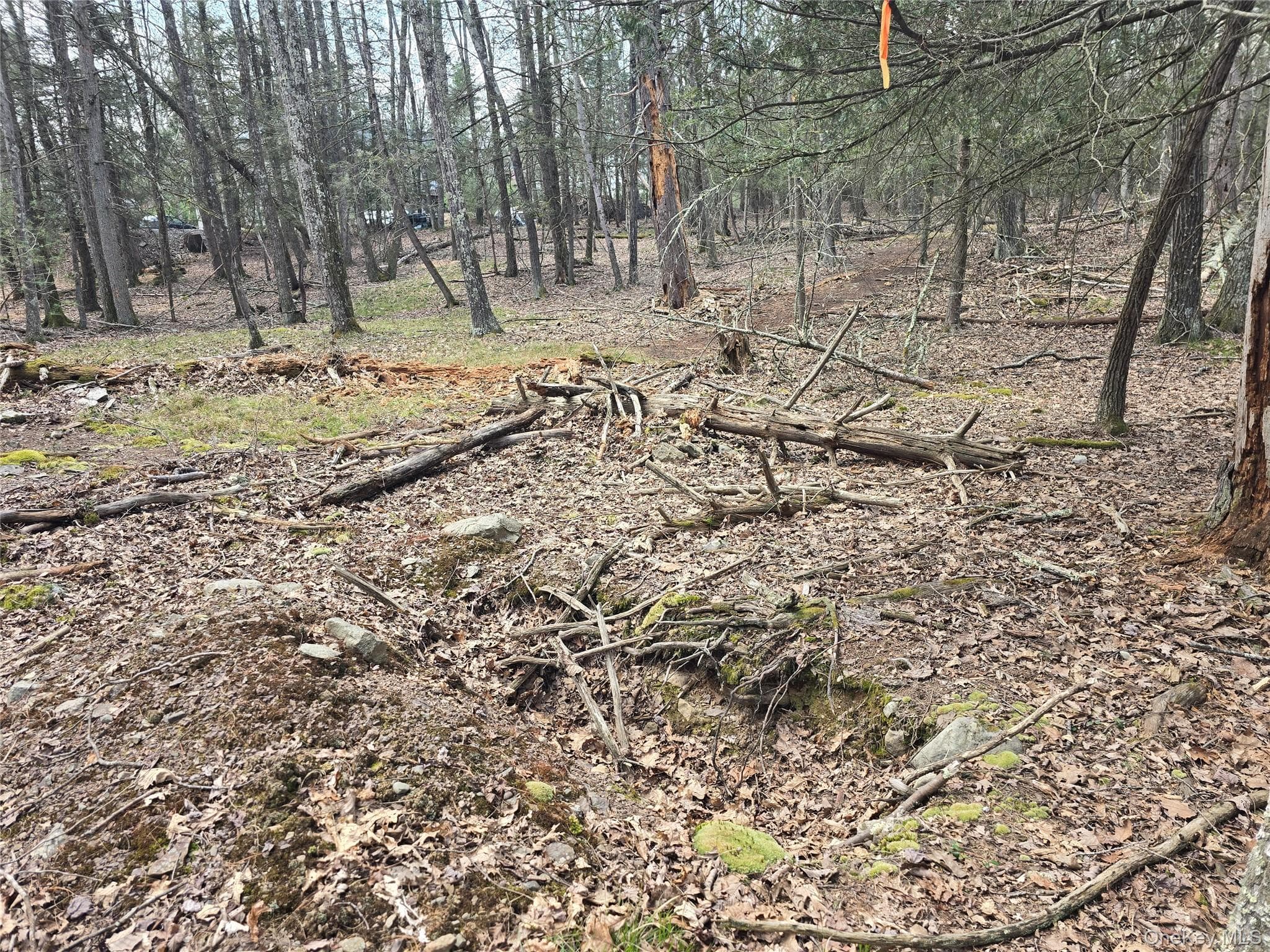 Lot 5 Evergreen Drive thumbnail 8