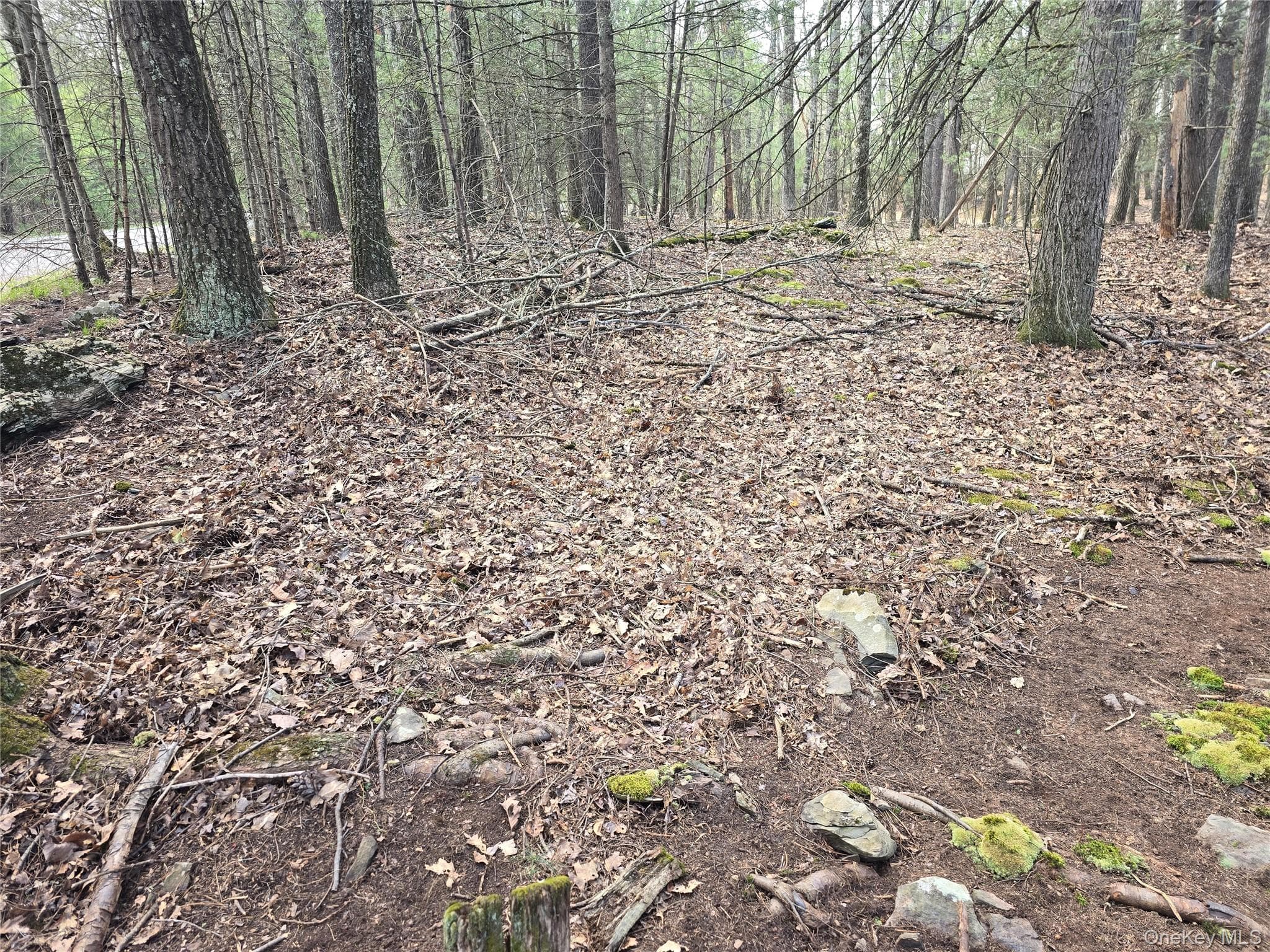Lot 5 Evergreen Drive thumbnail 11