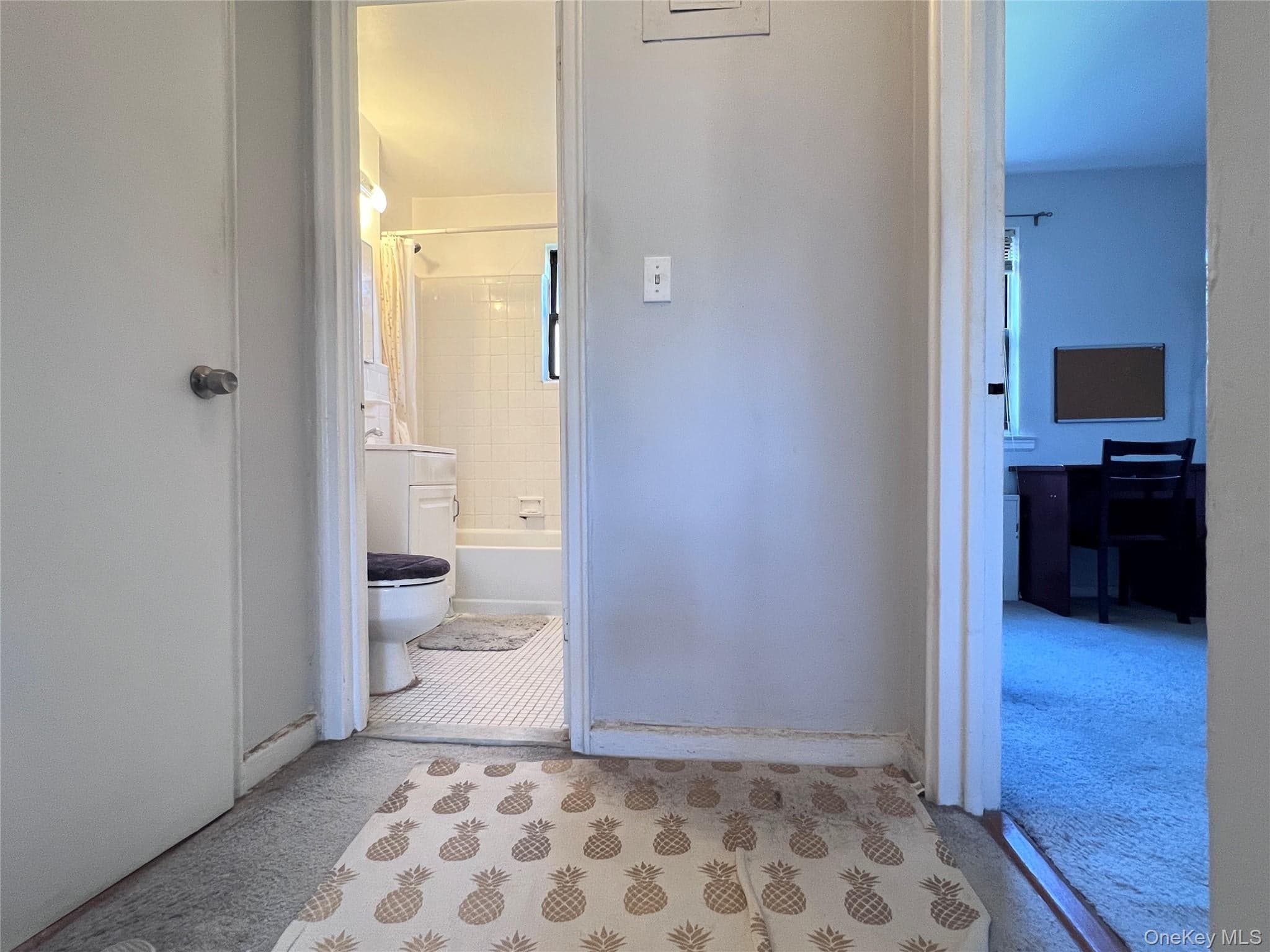 196-48 67th Avenue Unit: 2nd Floor thumbnail 11