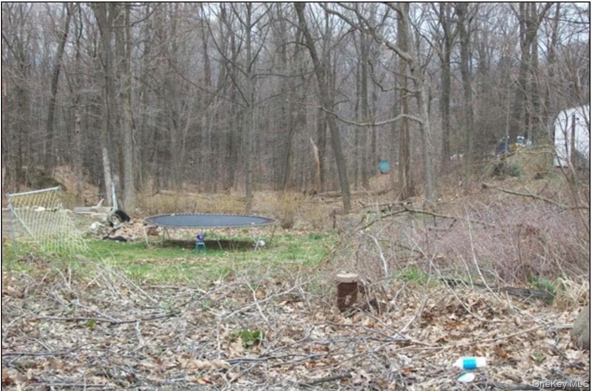 48 Paradise Trail photo 1