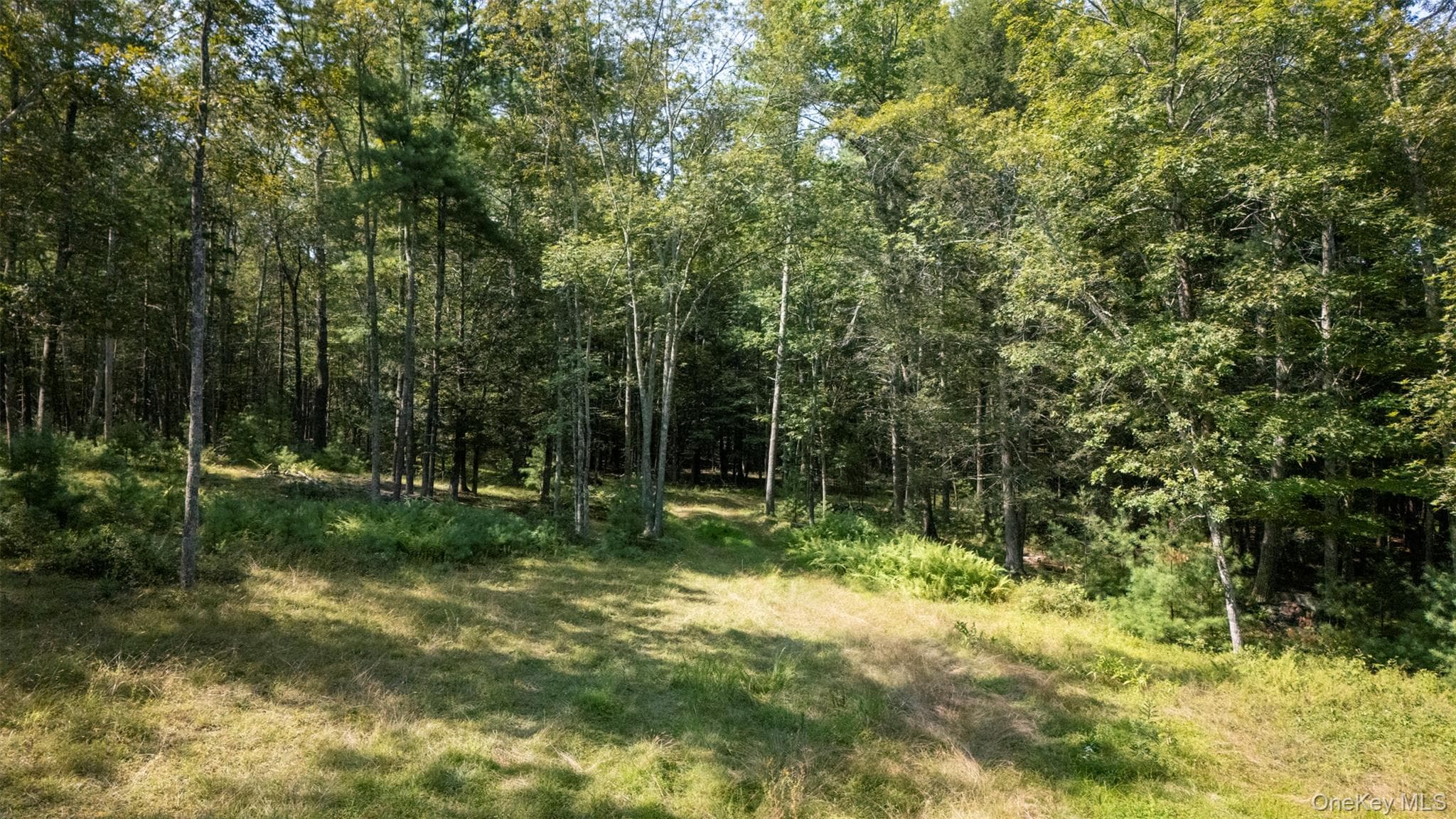 327 Phillips Road thumbnail 14