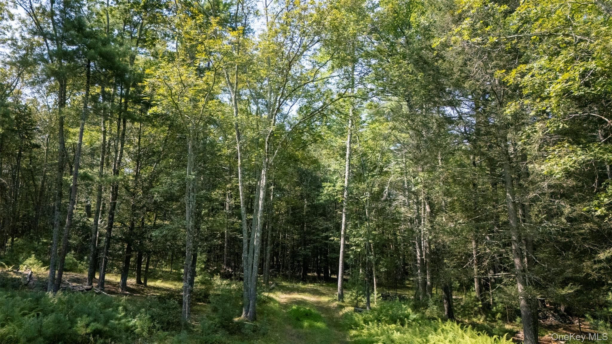 327 Phillips Road thumbnail 12
