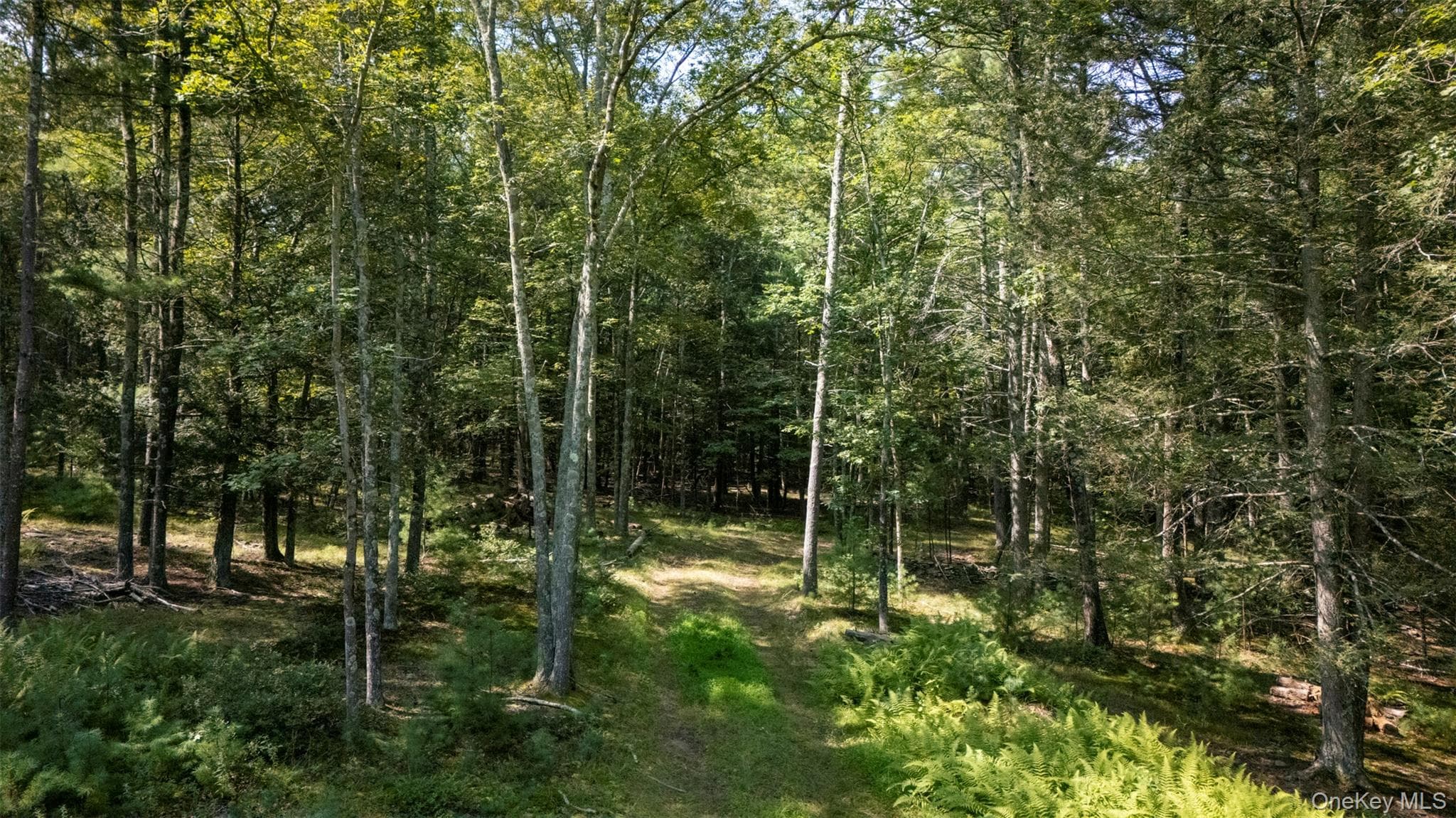 327 Phillips Road thumbnail 13