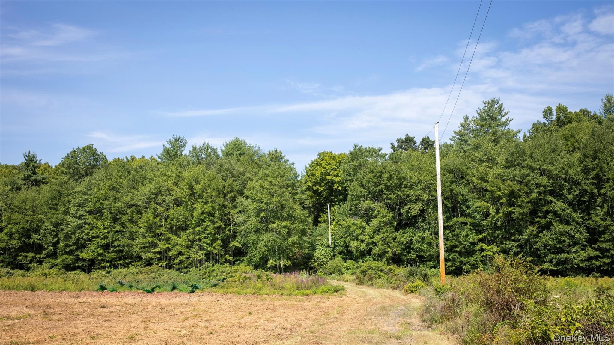 327 Phillips Road thumbnail 8