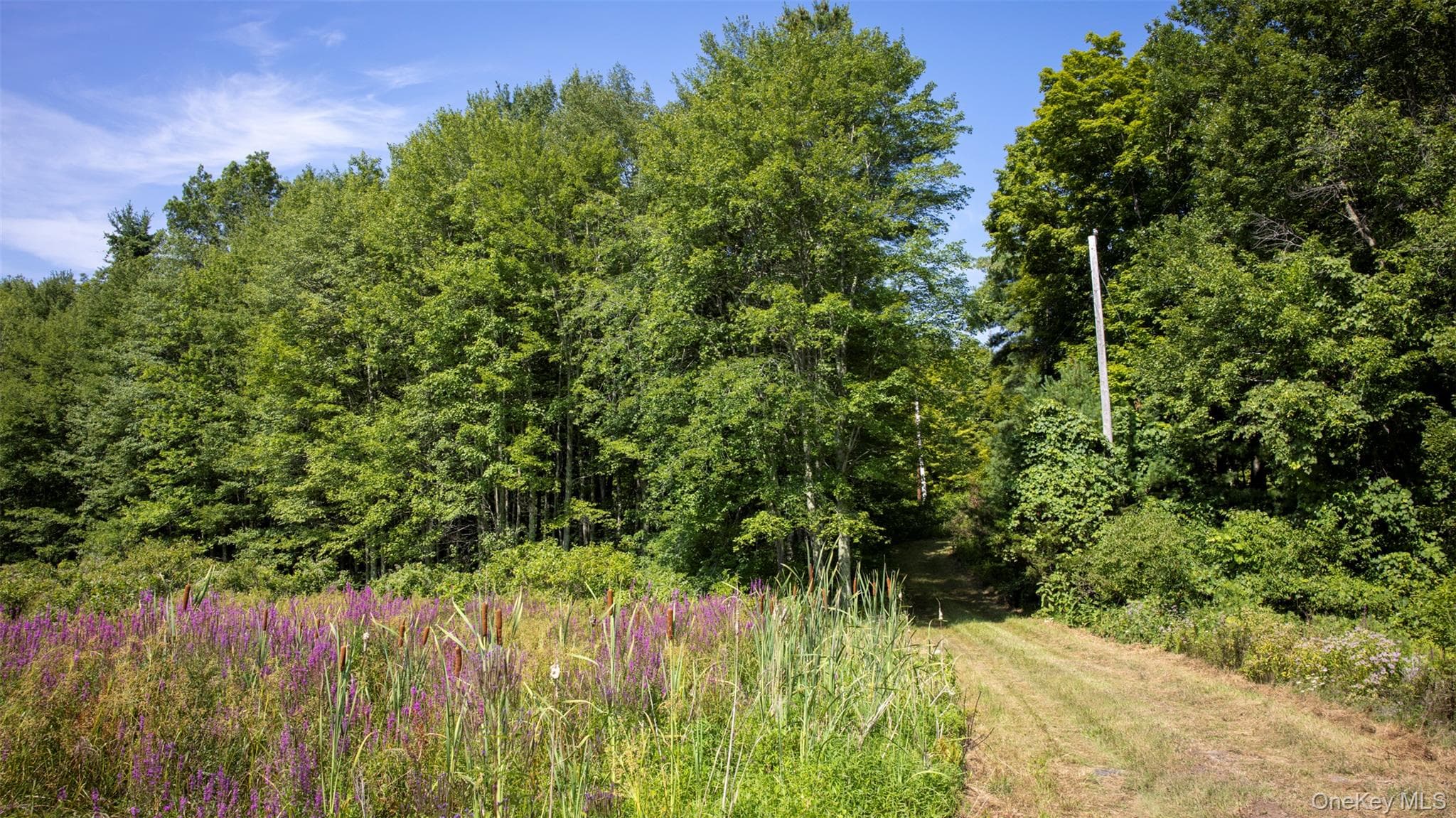 327 Phillips Road thumbnail 5