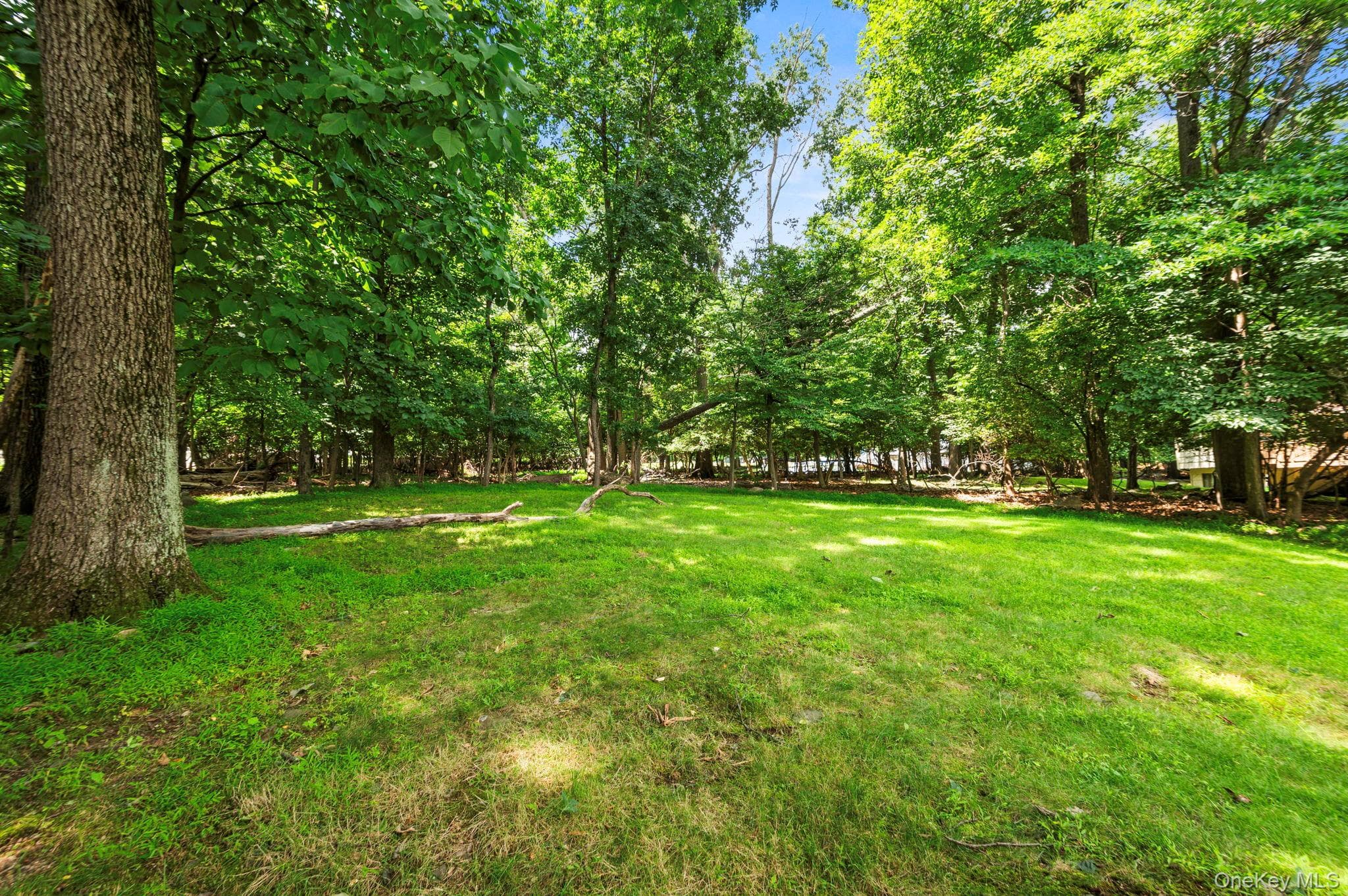25 Ackerman Avenue thumbnail 34