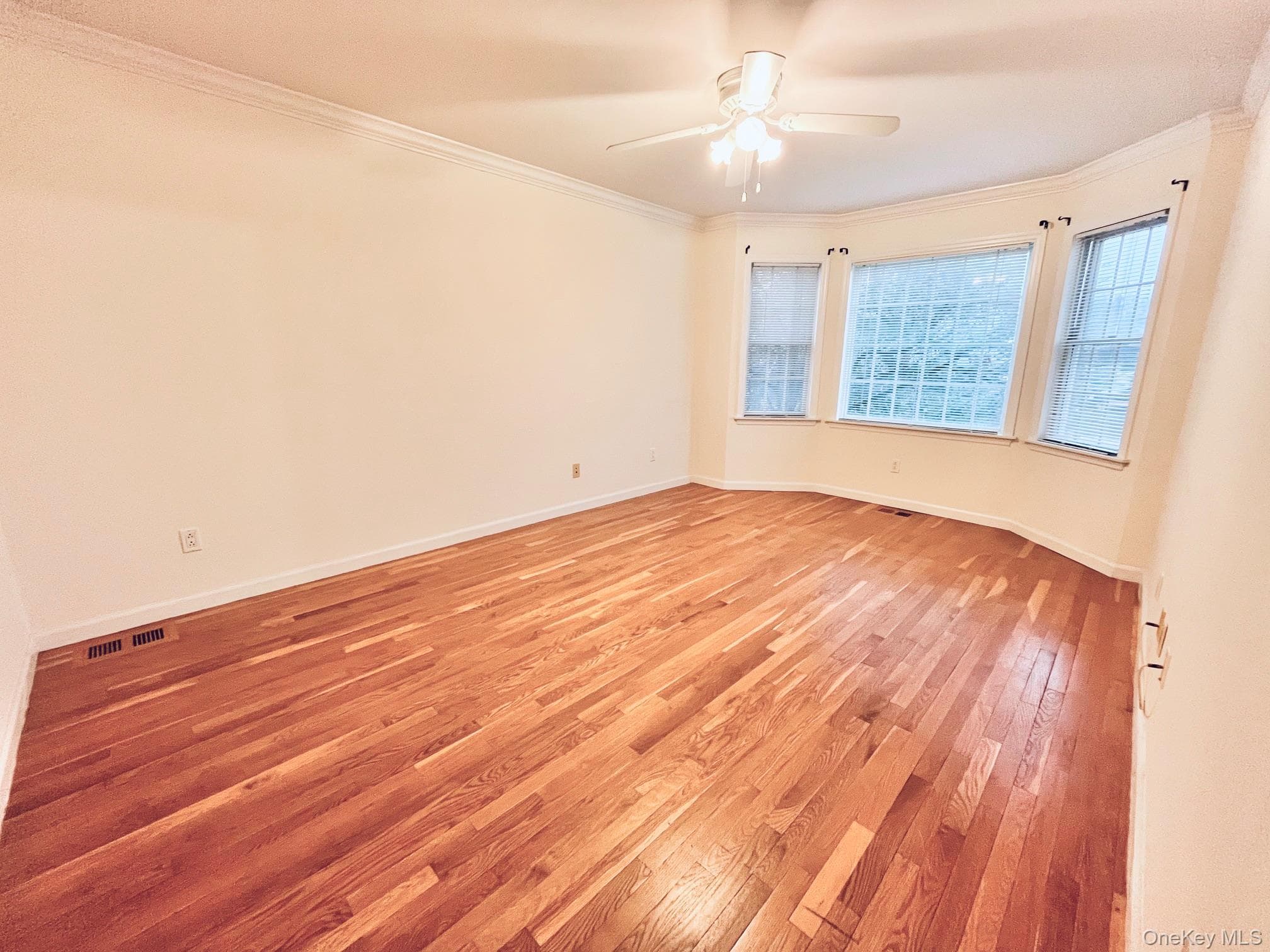 153 Montgomery Avenue Unit: B thumbnail 9