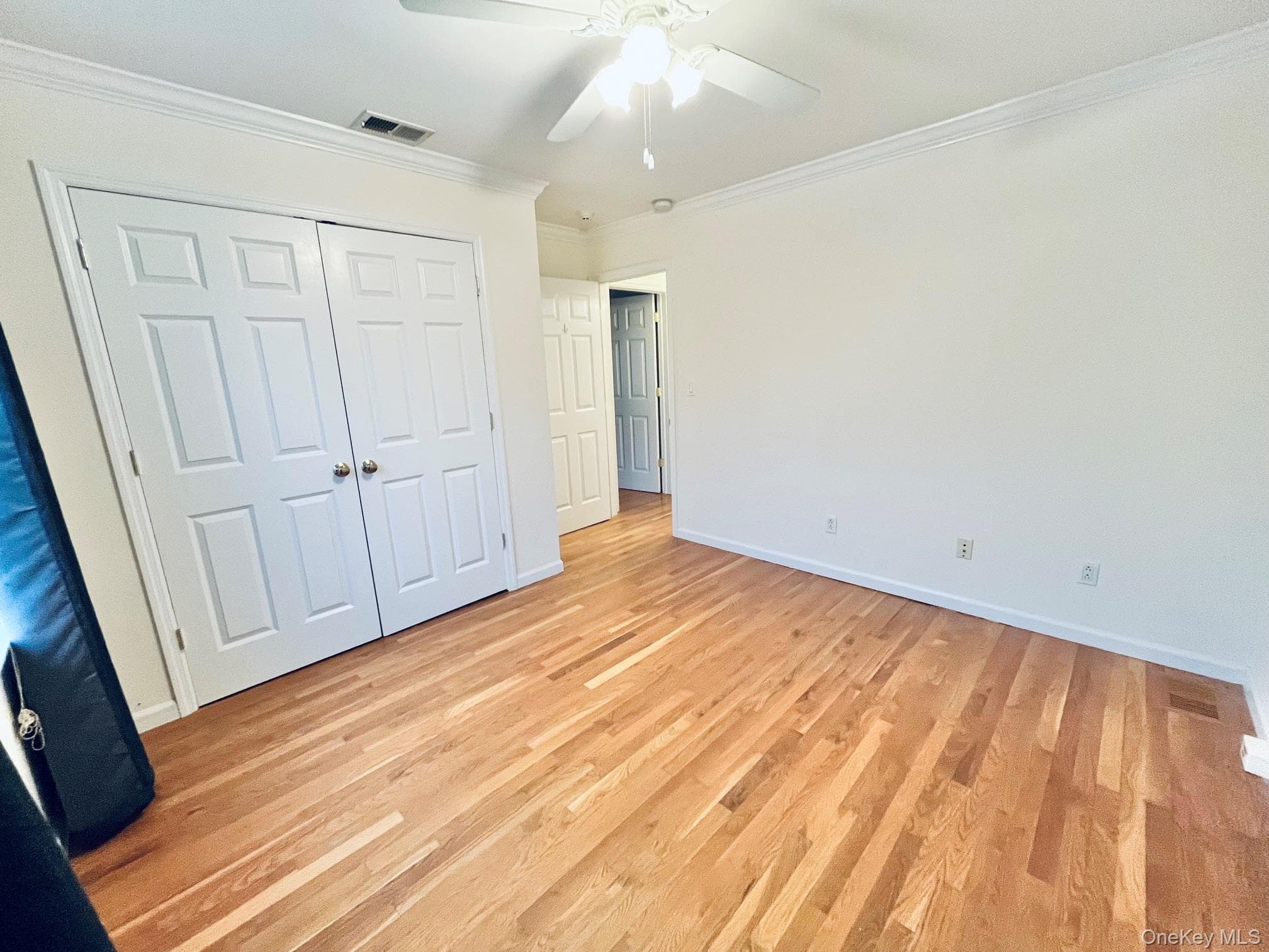 153 Montgomery Avenue Unit: B thumbnail 14