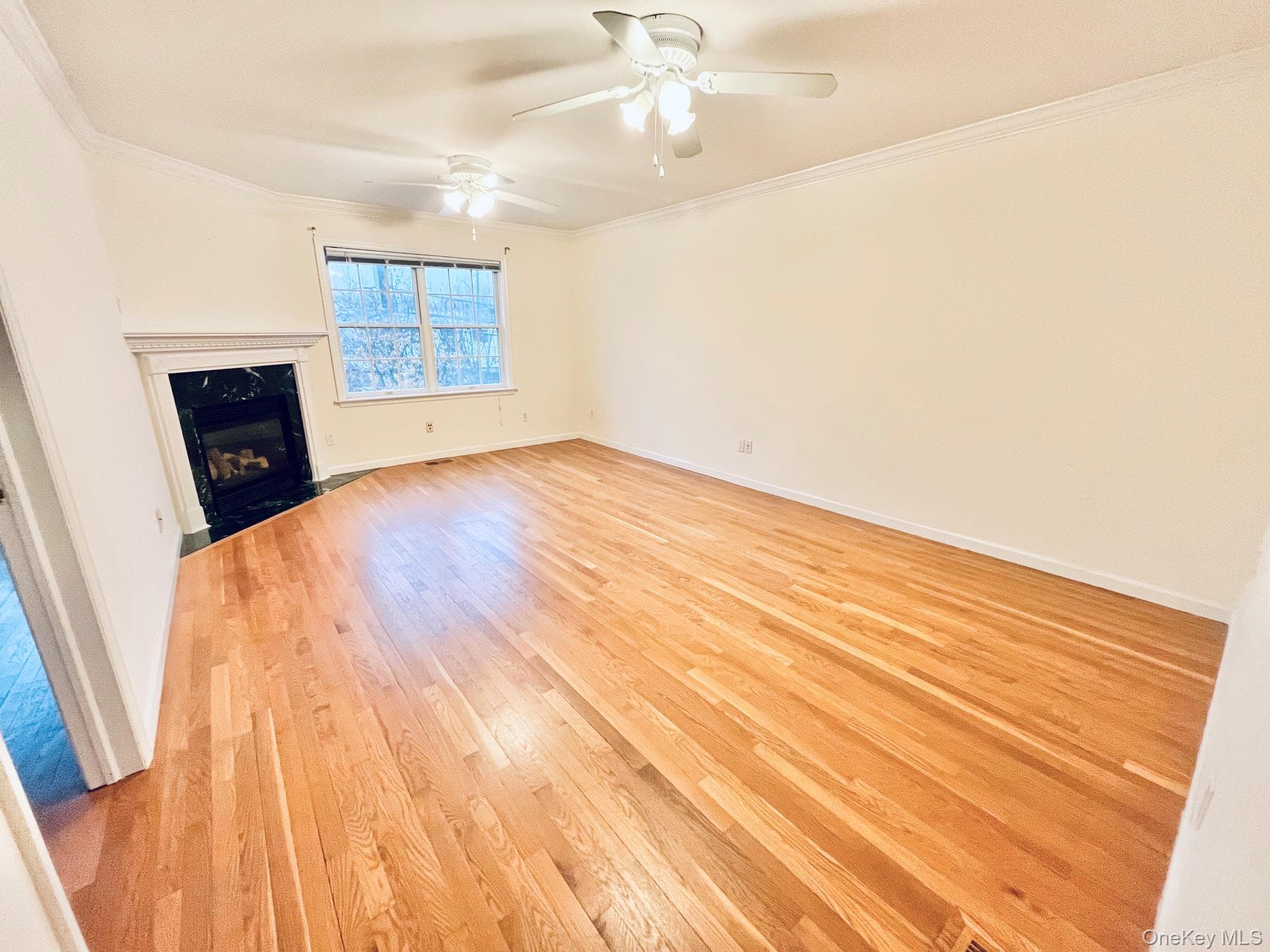 153 Montgomery Avenue Unit: B thumbnail 5