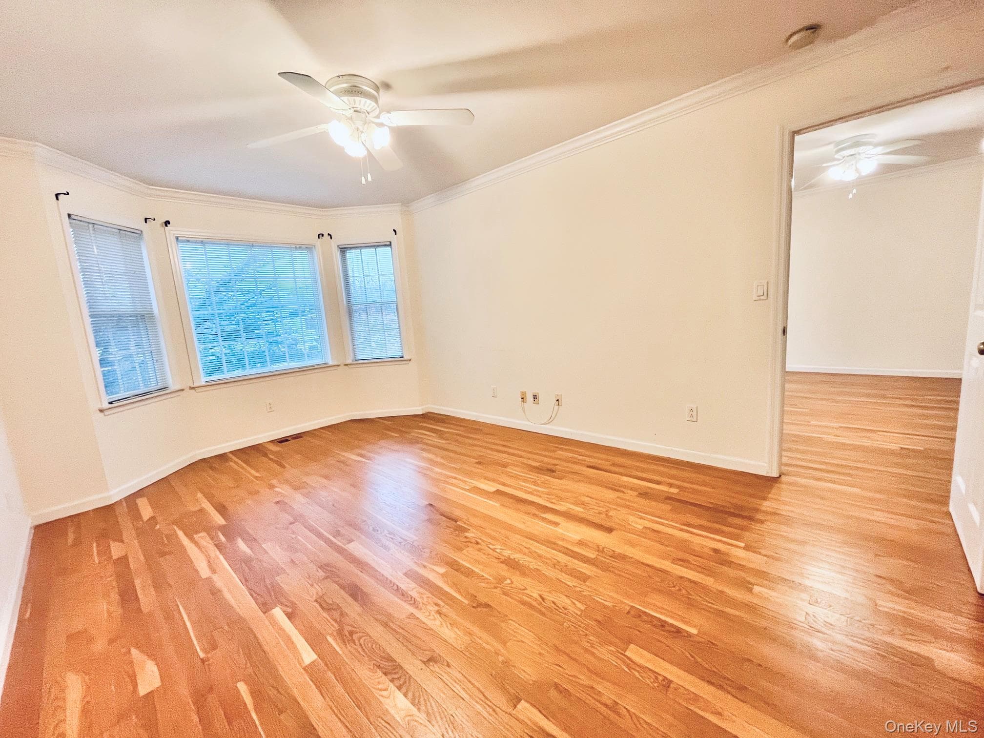 153 Montgomery Avenue Unit: B thumbnail 8