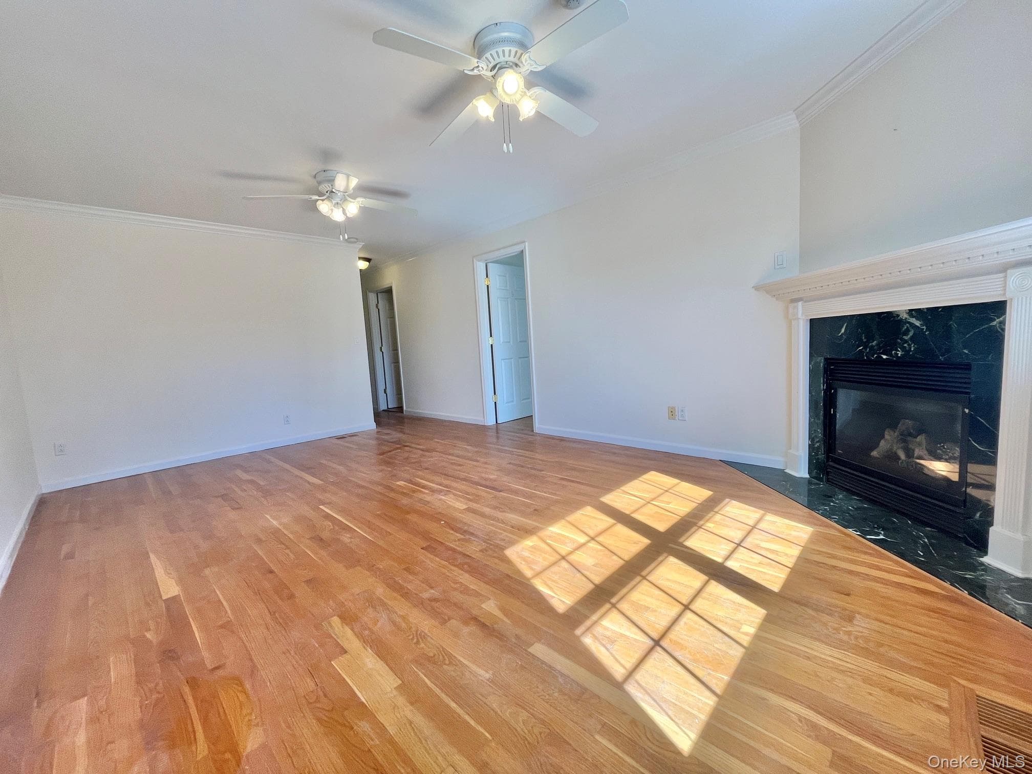 153 Montgomery Avenue Unit: B thumbnail 3