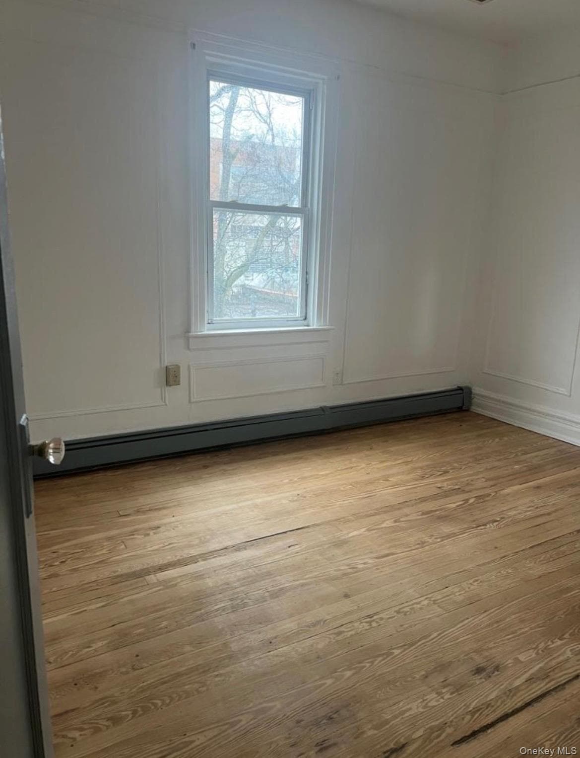 854 E 229th Street thumbnail 5