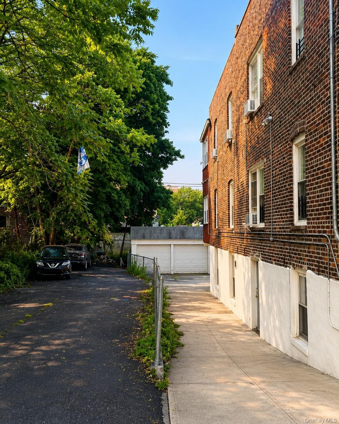 854 E 229th Street thumbnail 14