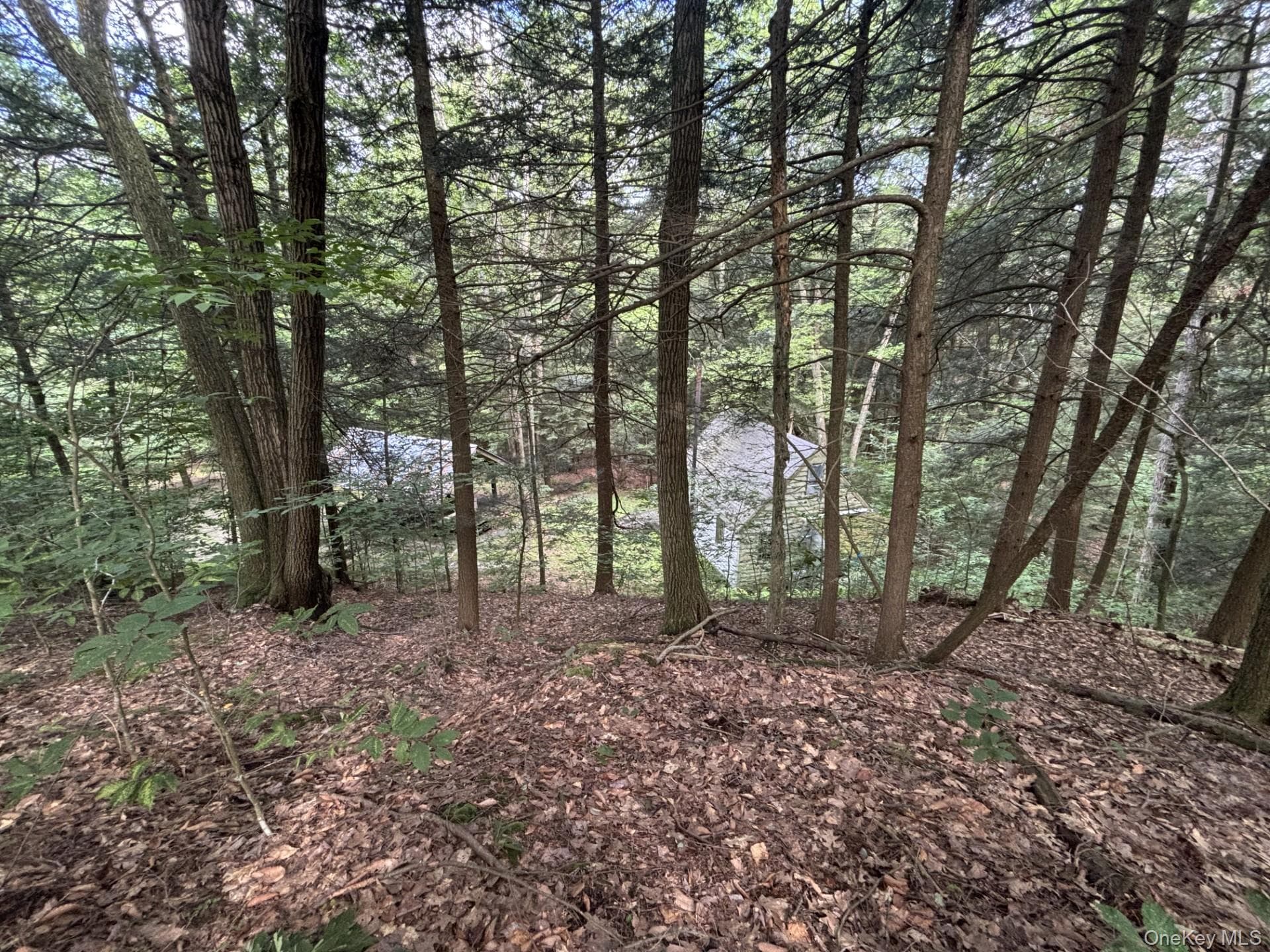 276 E Hill Road thumbnail 14