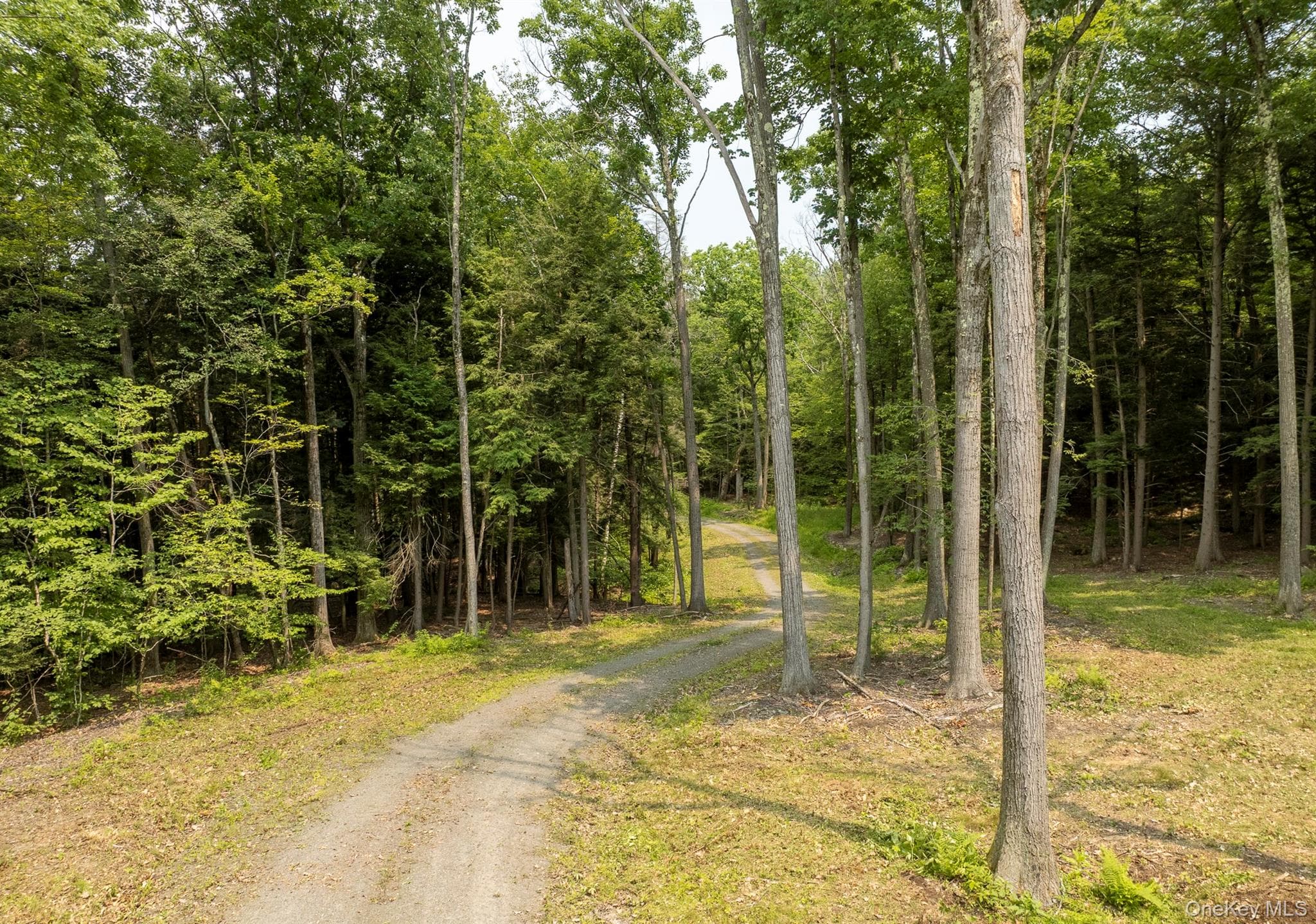 276 E Hill Road thumbnail 21