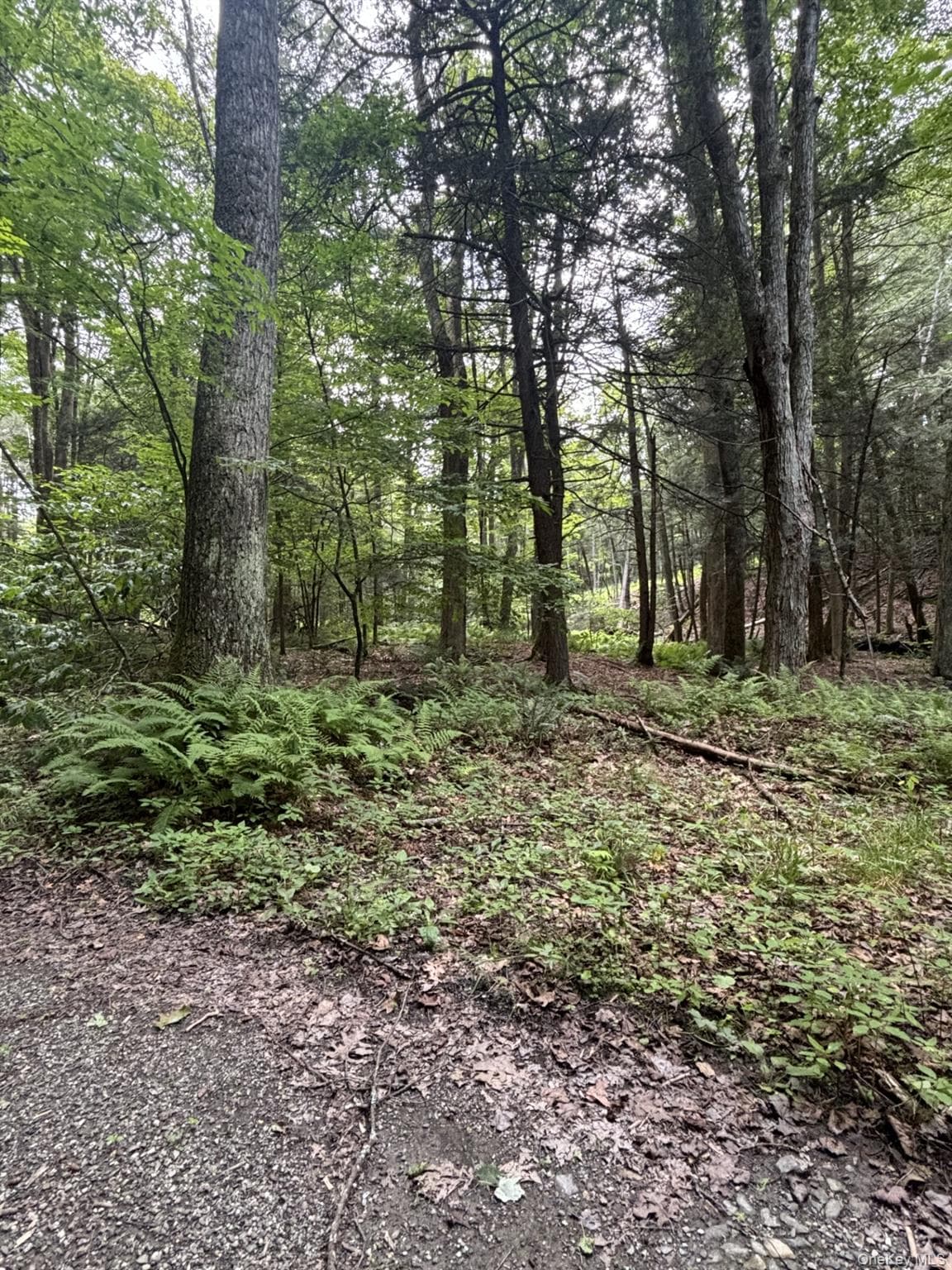 276 E Hill Road thumbnail 8