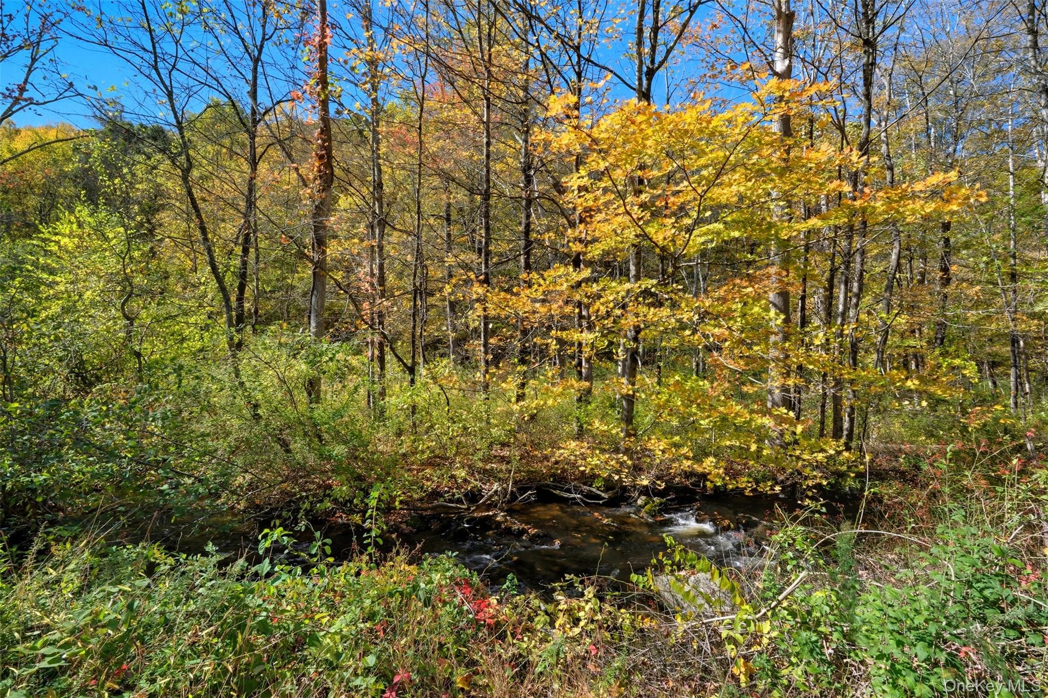 Wiccopee Road thumbnail 14