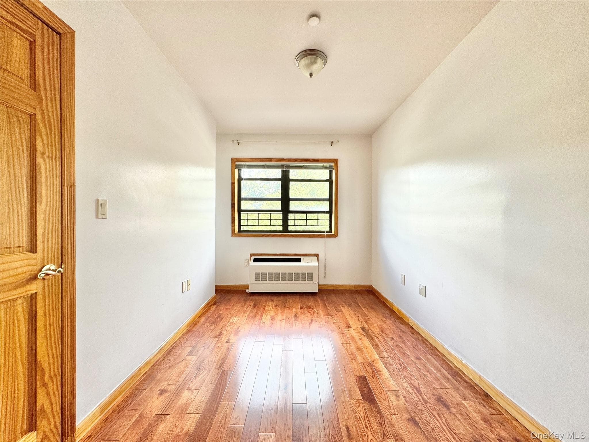 4606 88th Street Unit: Unit 2F thumbnail 8