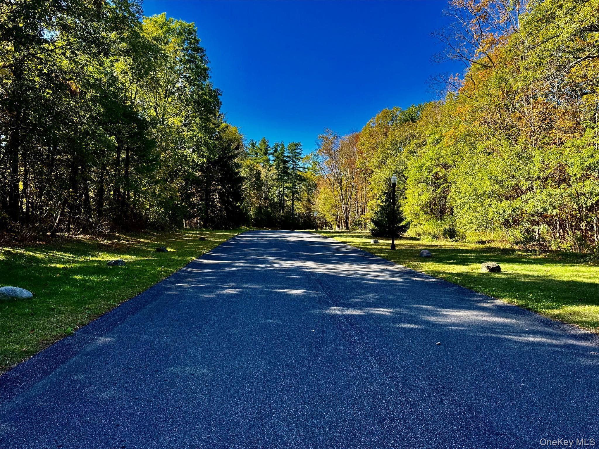 86 Falling Waters Drive thumbnail 5