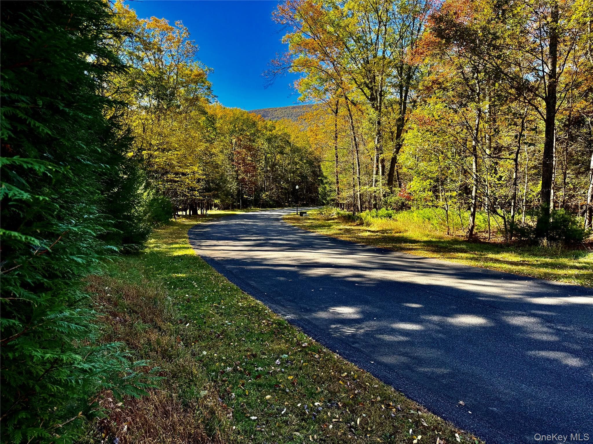 86 Falling Waters Drive thumbnail 7