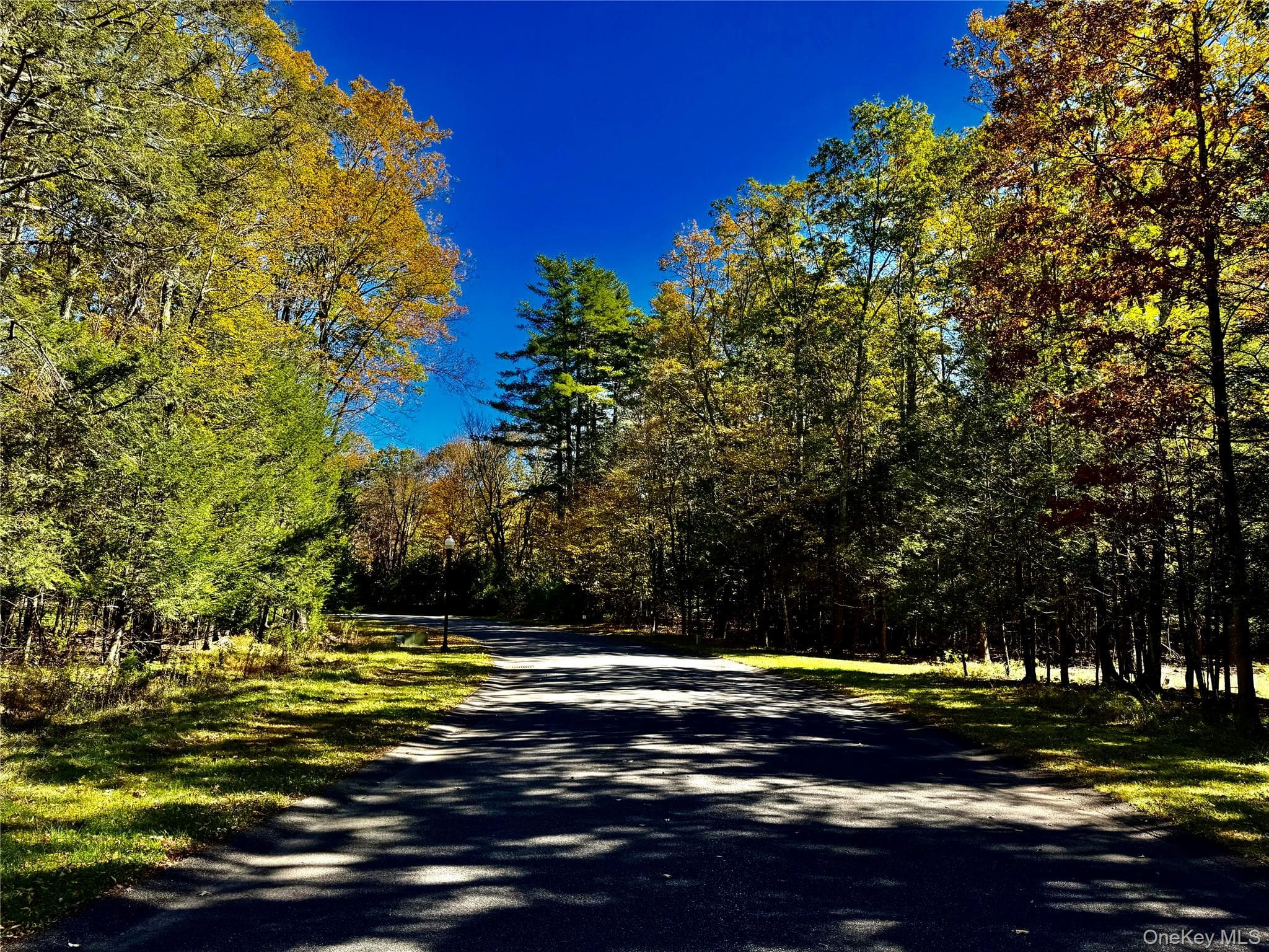 86 Falling Waters Drive thumbnail 8
