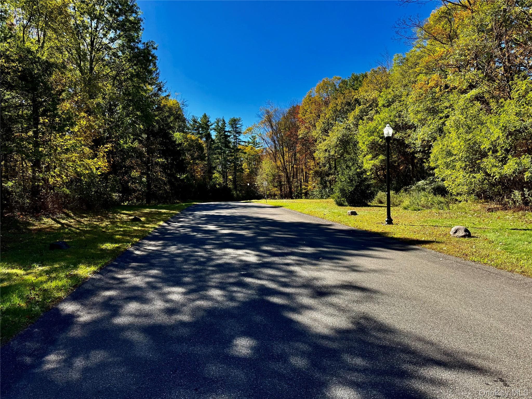 86 Falling Waters Drive thumbnail 6