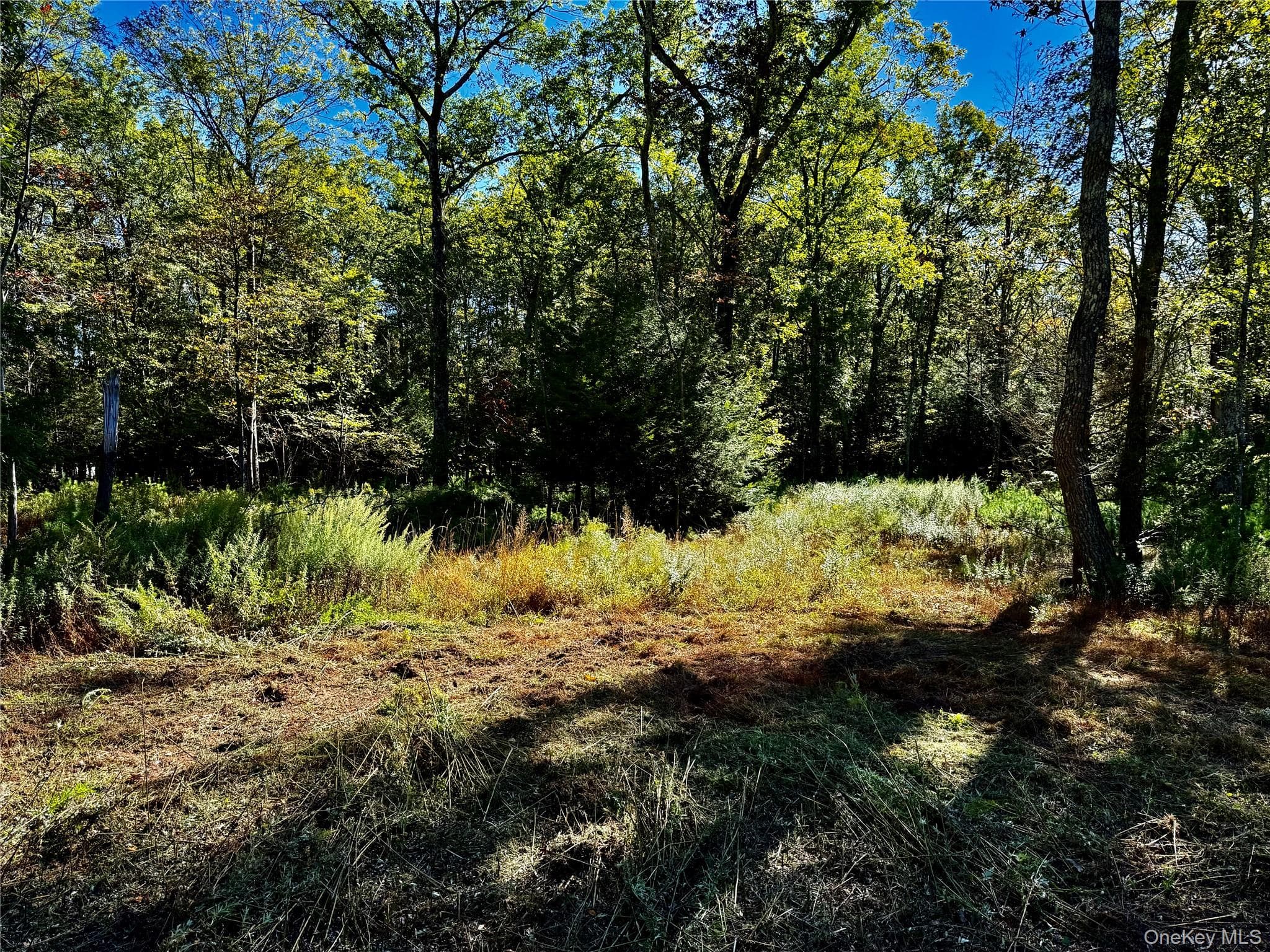 86 Falling Waters Drive thumbnail 4
