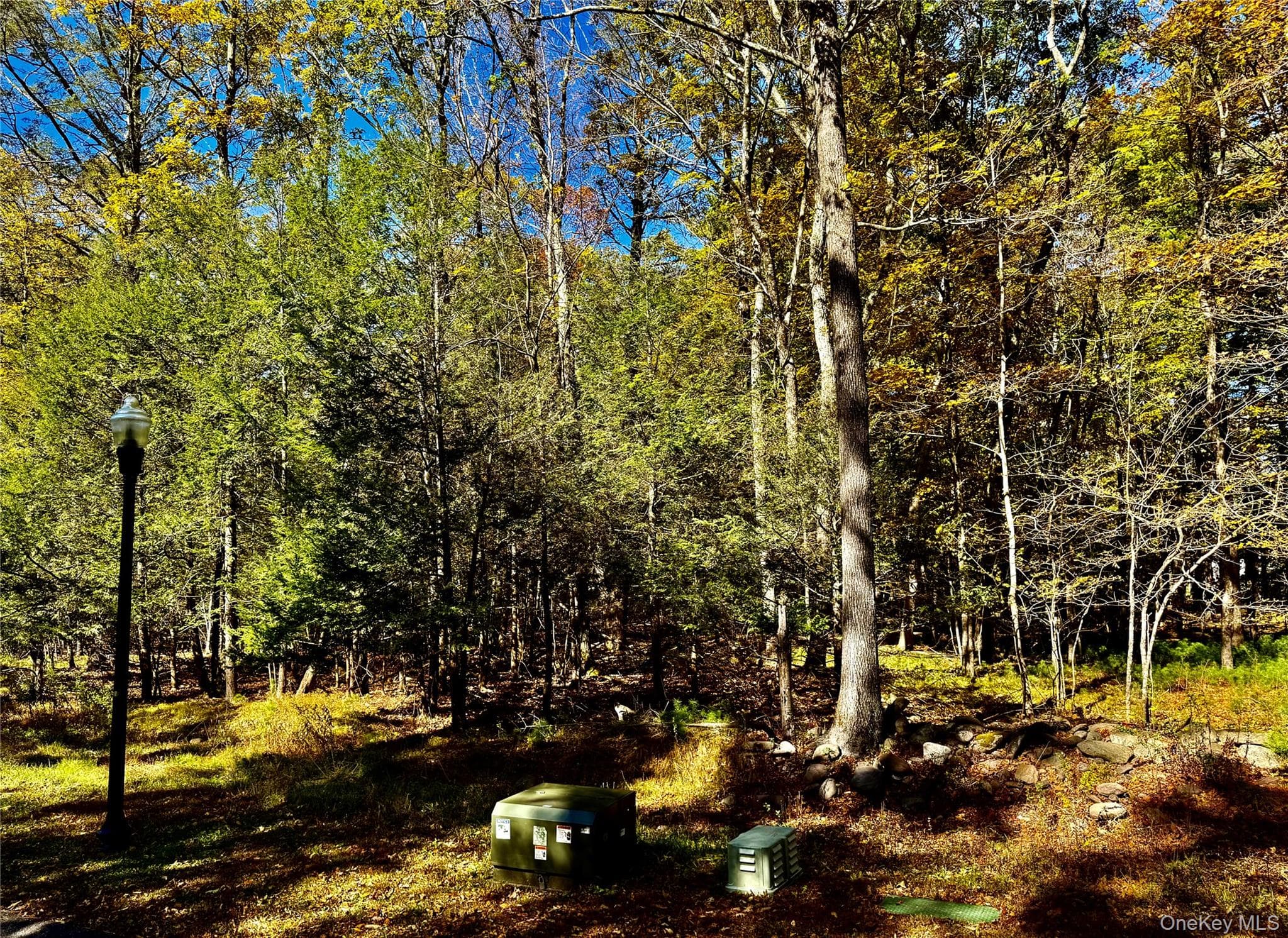 86 Falling Waters Drive thumbnail 11