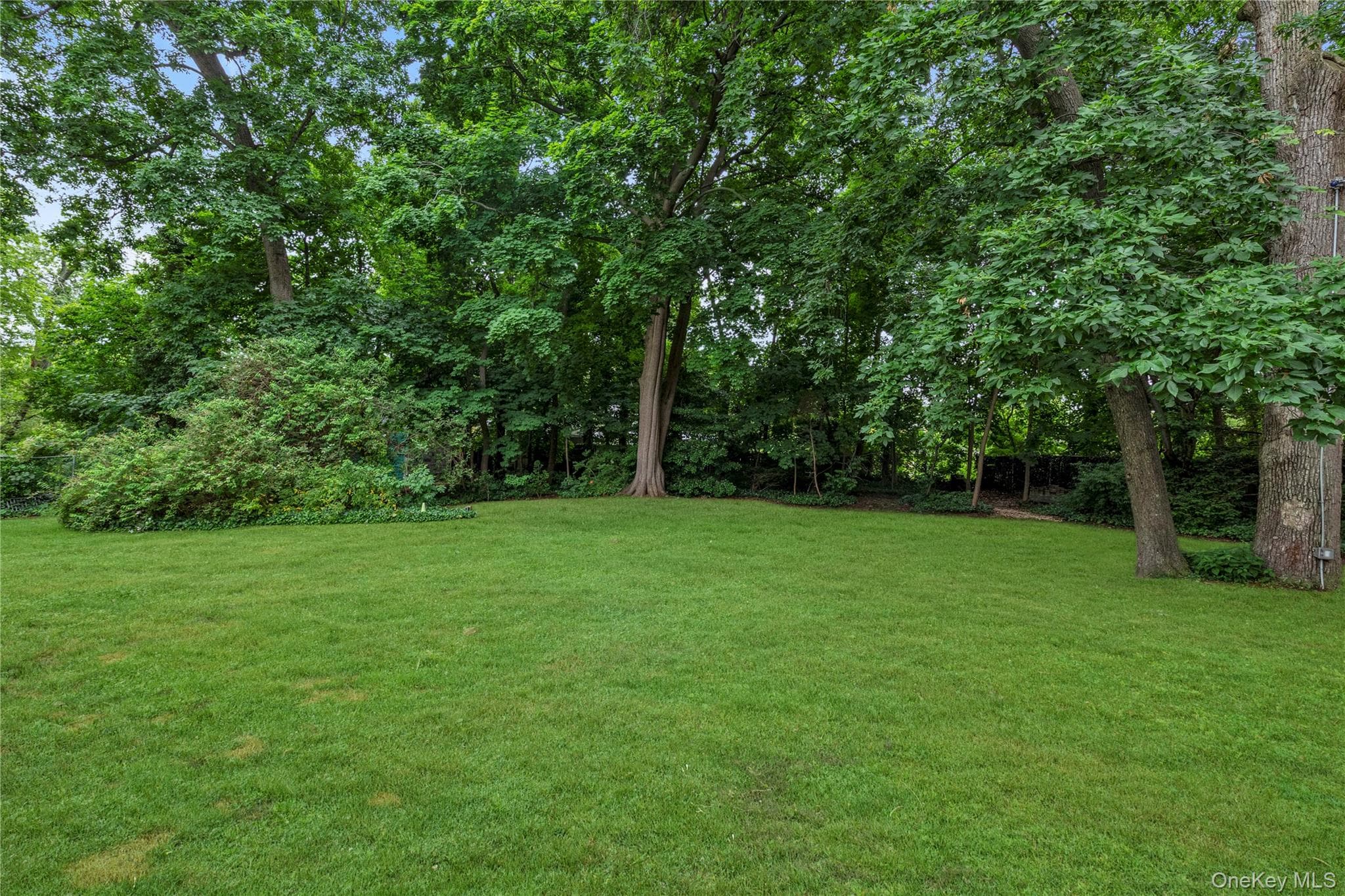 81 Union Avenue thumbnail 13