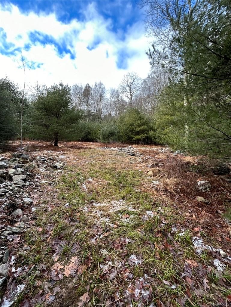 145 Brandt Road thumbnail 4