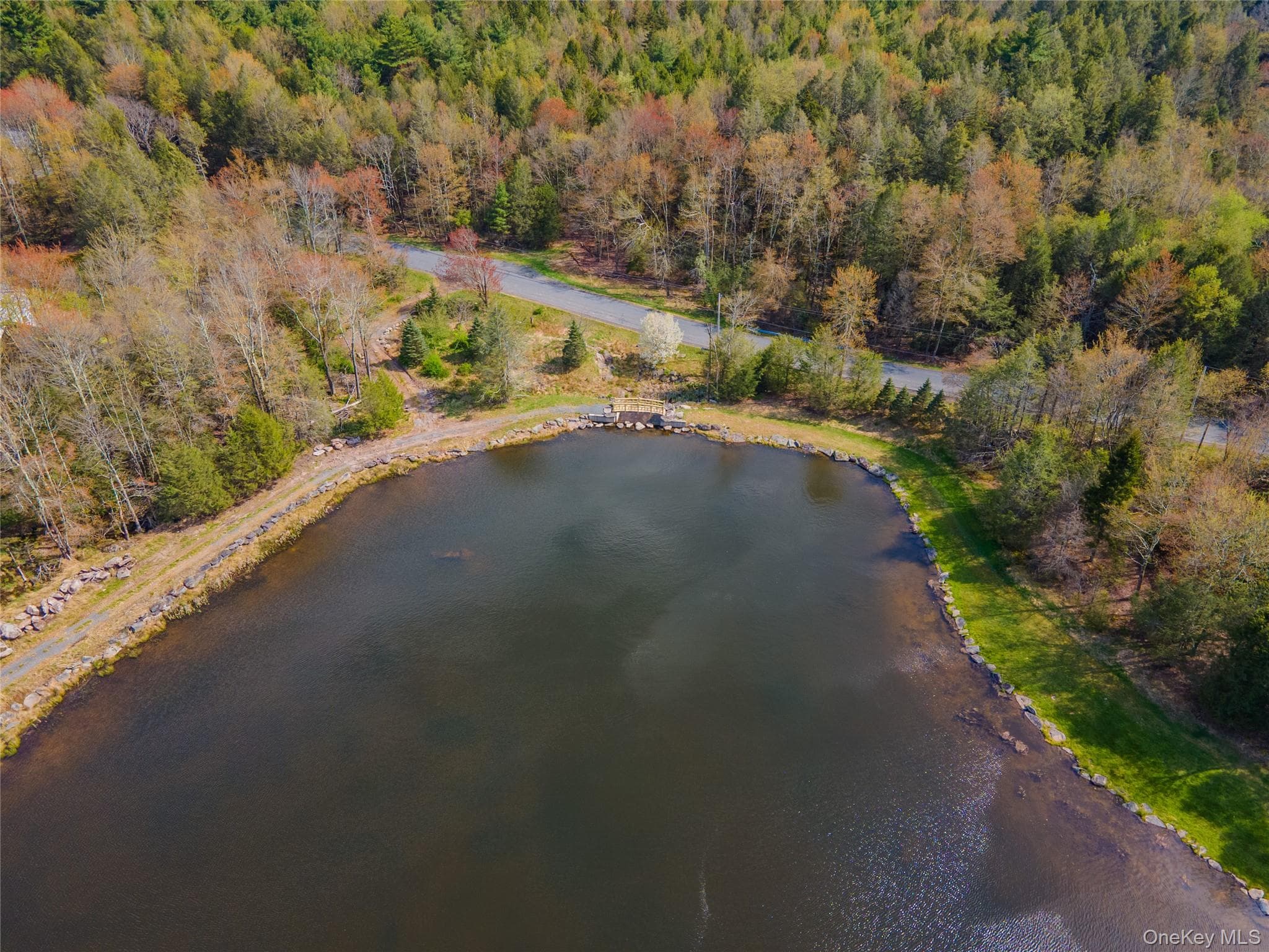 235 Cantrell Road thumbnail 50