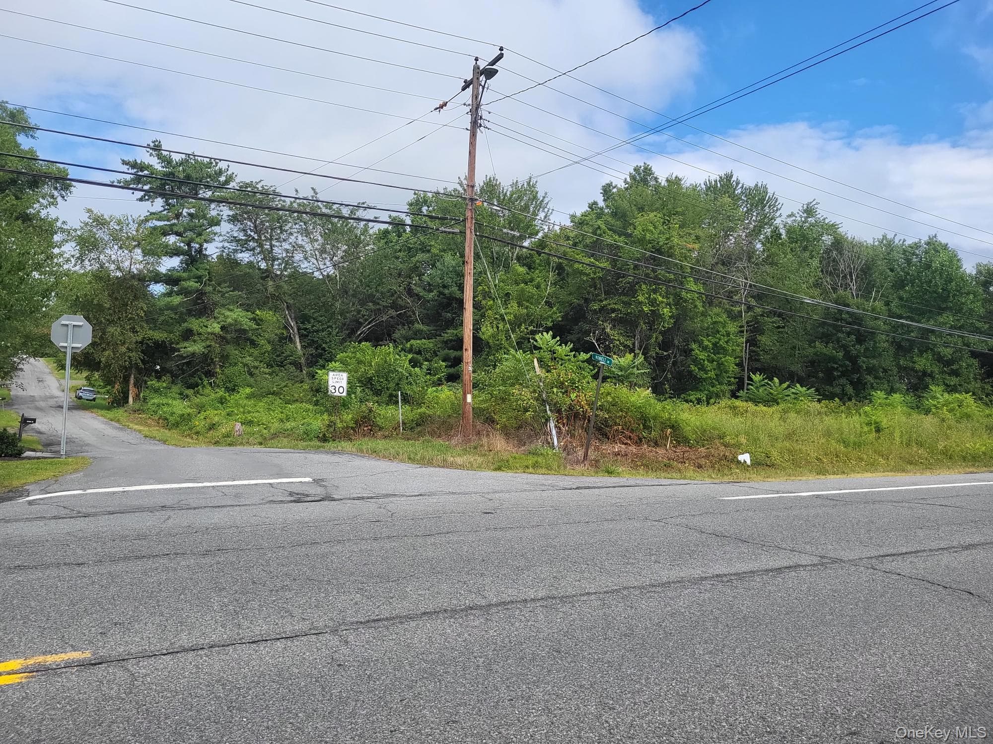W NYS RTE 208 Highway (bona Ventura) Avenue thumbnail 4
