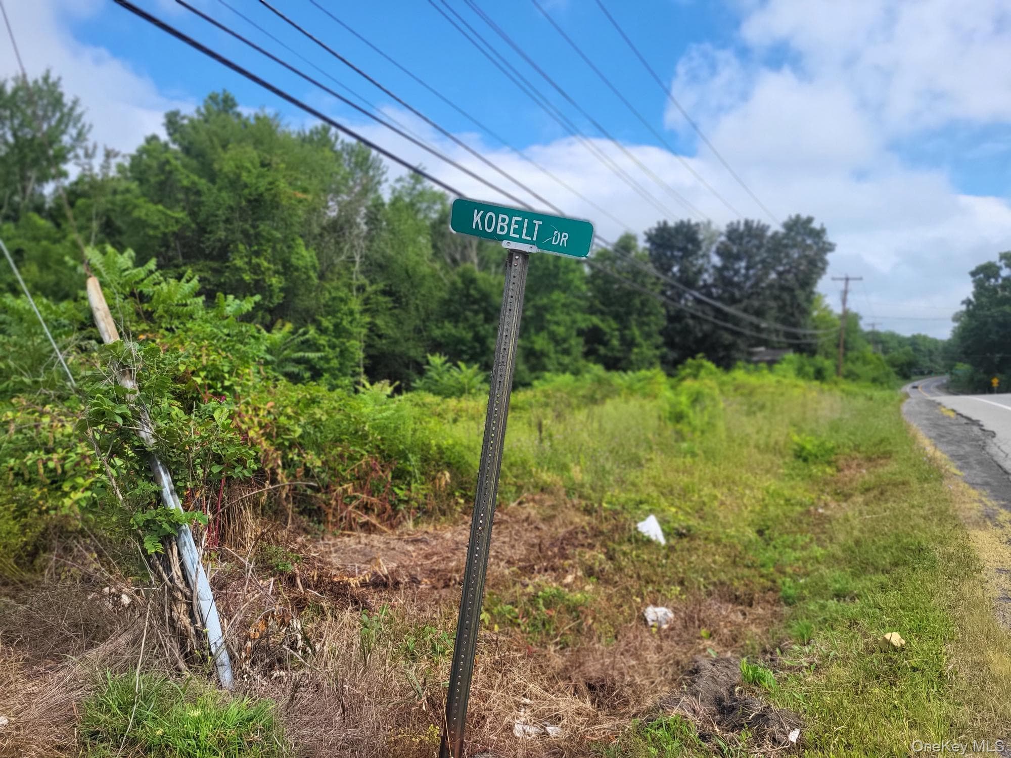 W NYS RTE 208 Highway (bona Ventura) Avenue thumbnail 9