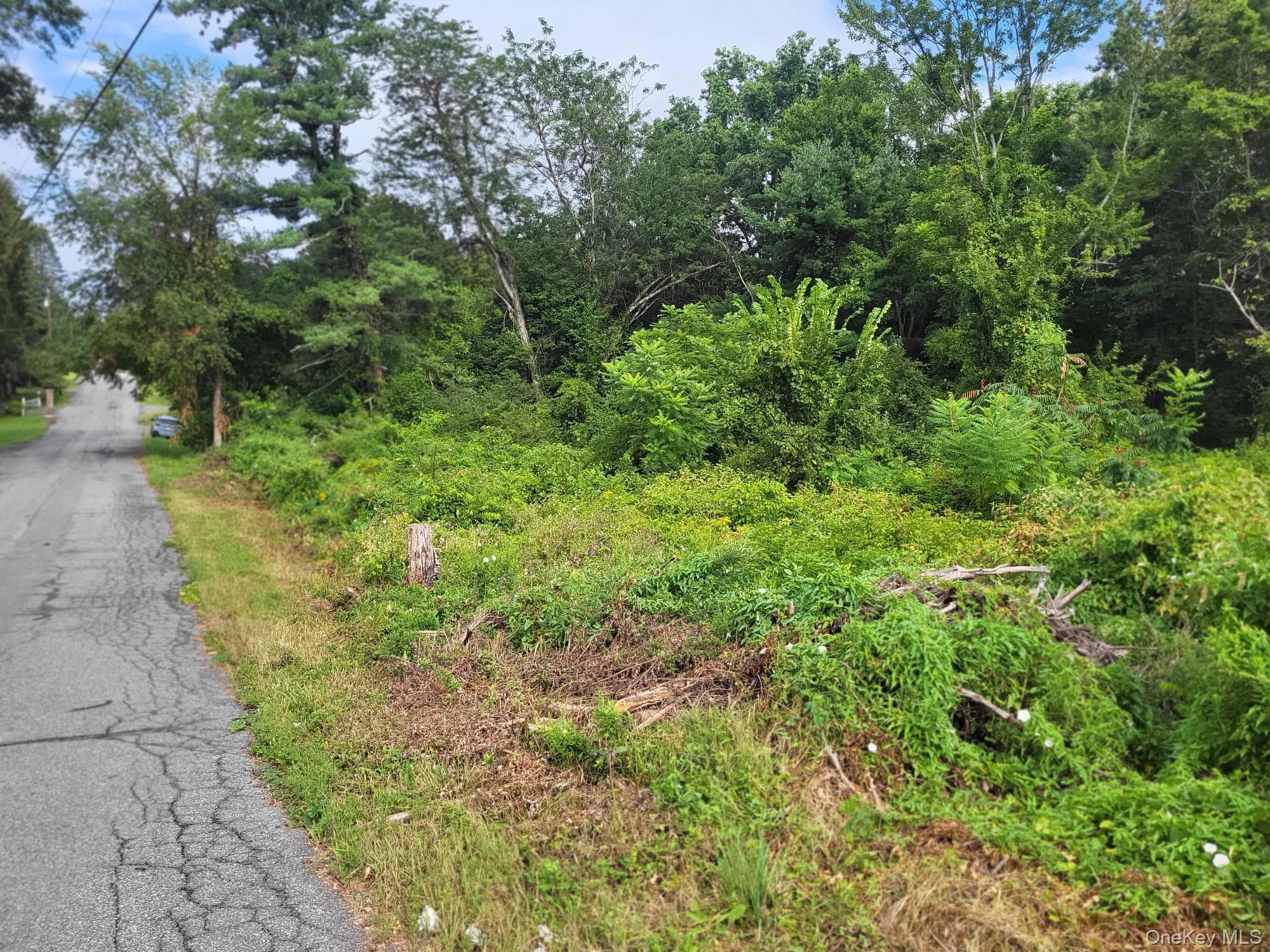 W NYS RTE 208 Highway (bona Ventura) Avenue thumbnail 2