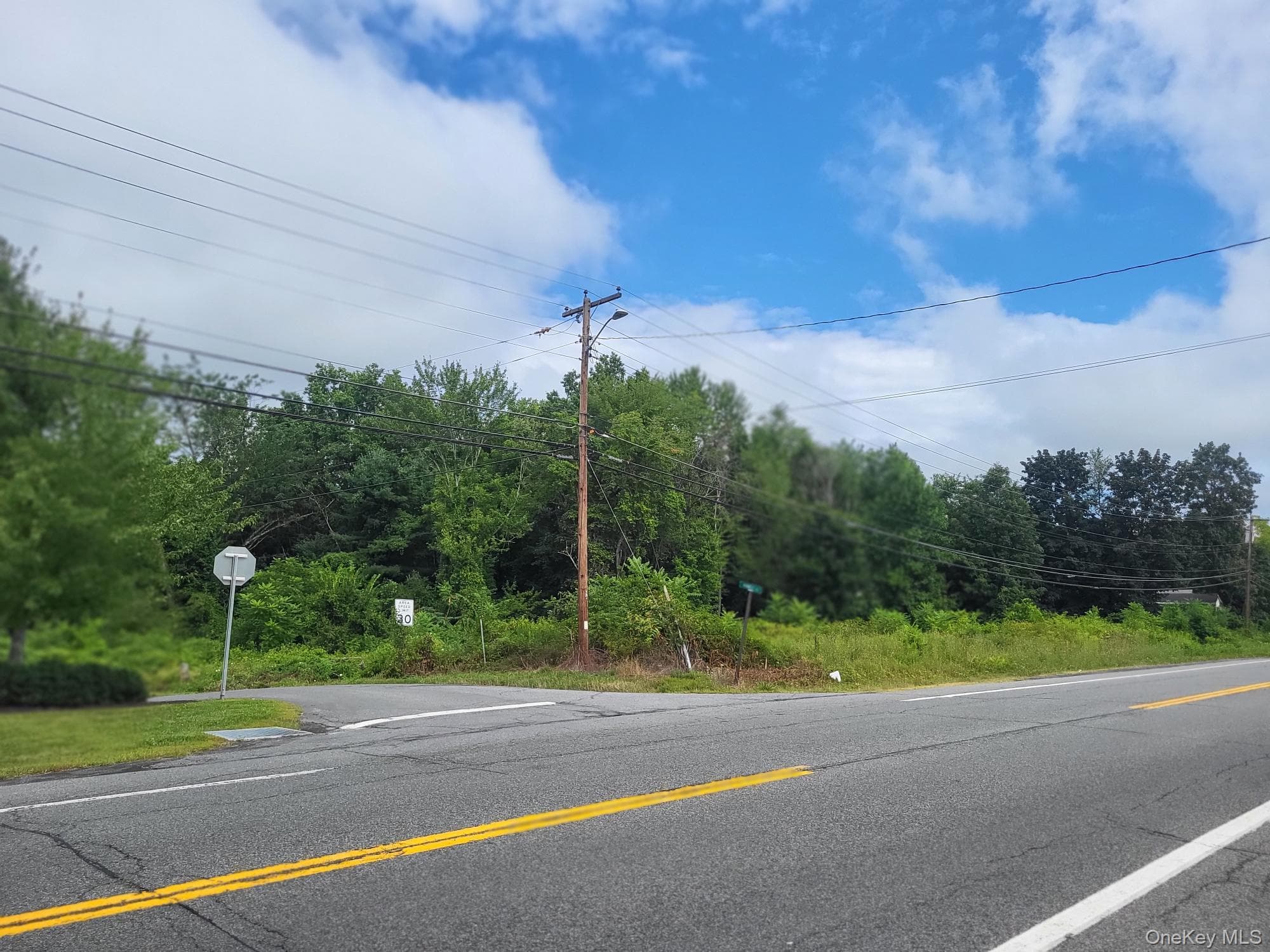 W NYS RTE 208 Highway (bona Ventura) Avenue thumbnail 7