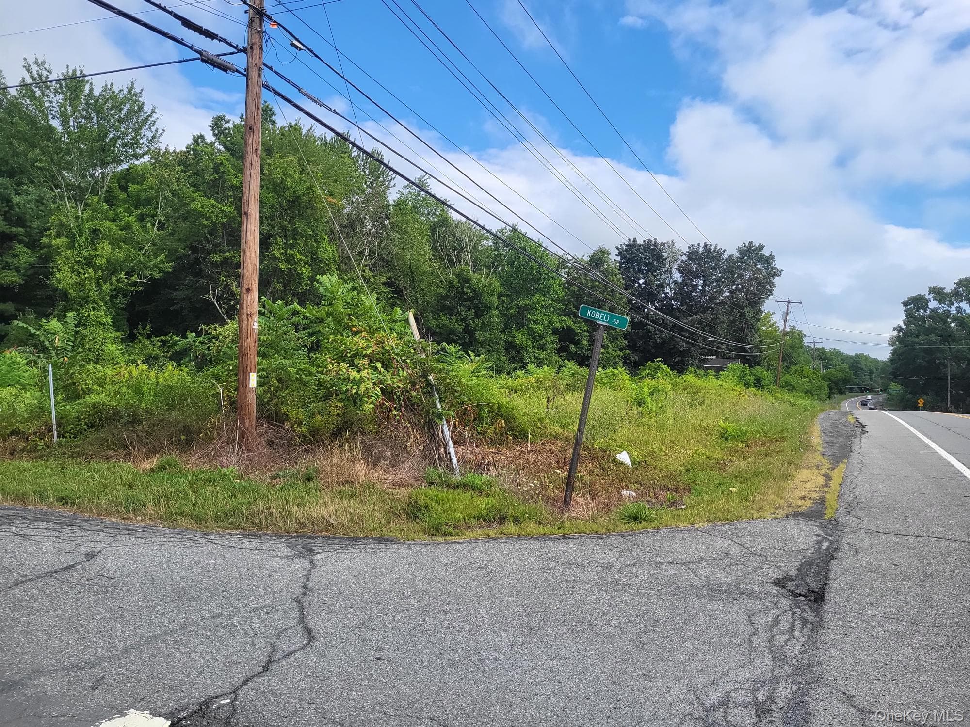 W NYS RTE 208 Highway (bona Ventura) Avenue thumbnail 3