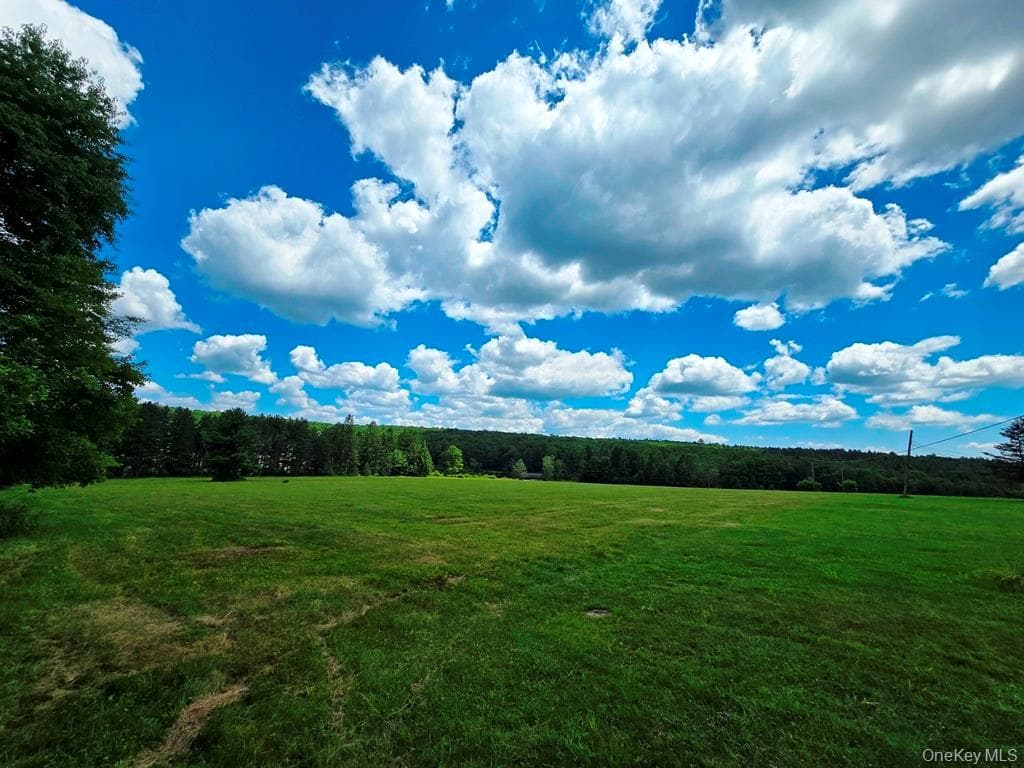 40 Spartan Hill Road thumbnail 29