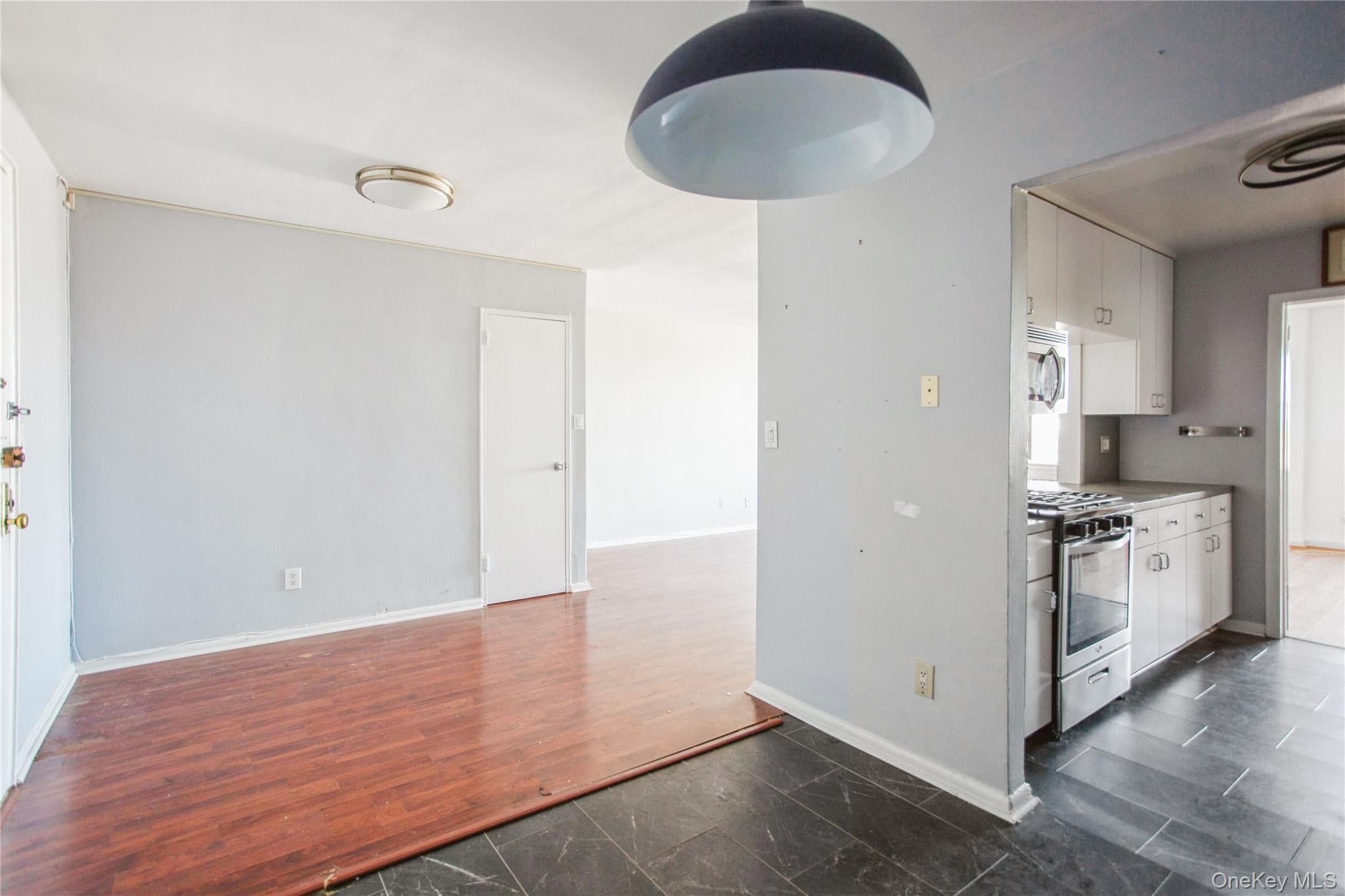 333 E Broadway Unit: 3B thumbnail 9