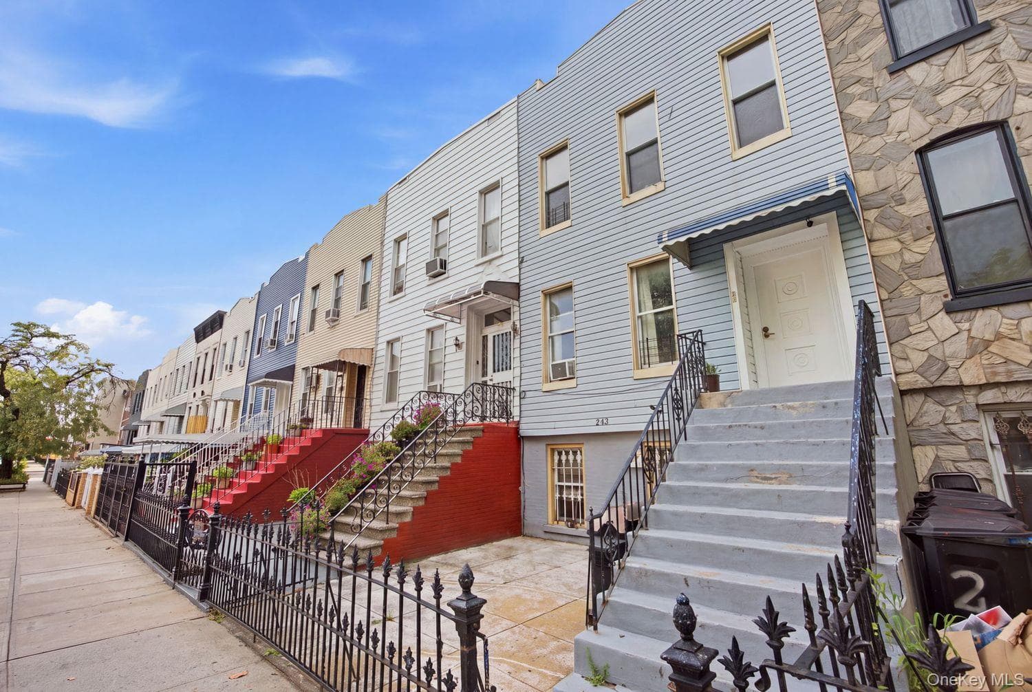 243 Woodbine Street thumbnail 3