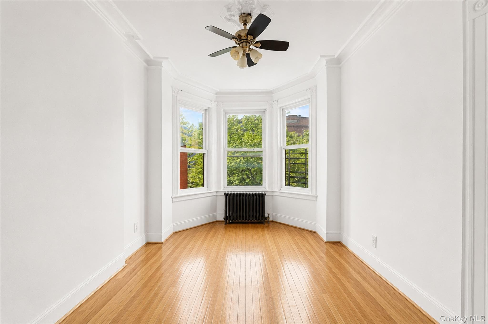1505 Nostrand Avenue thumbnail 11
