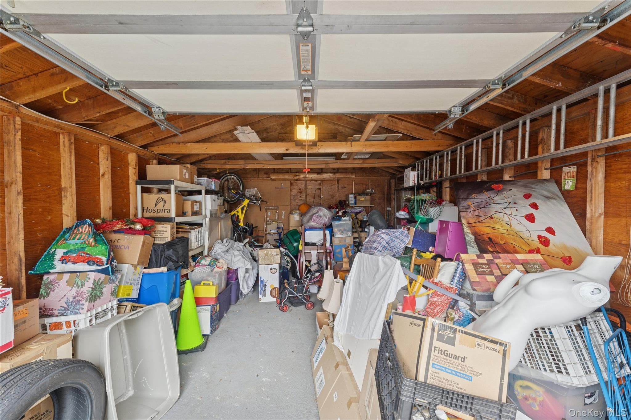 128 Fairfield Street thumbnail 22