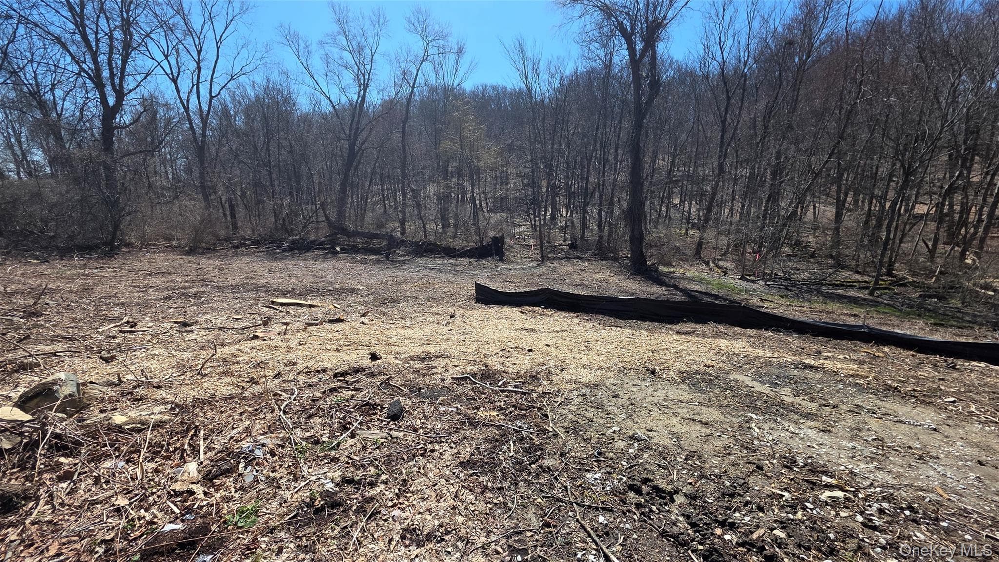 91 Barrett Hill Road thumbnail 4