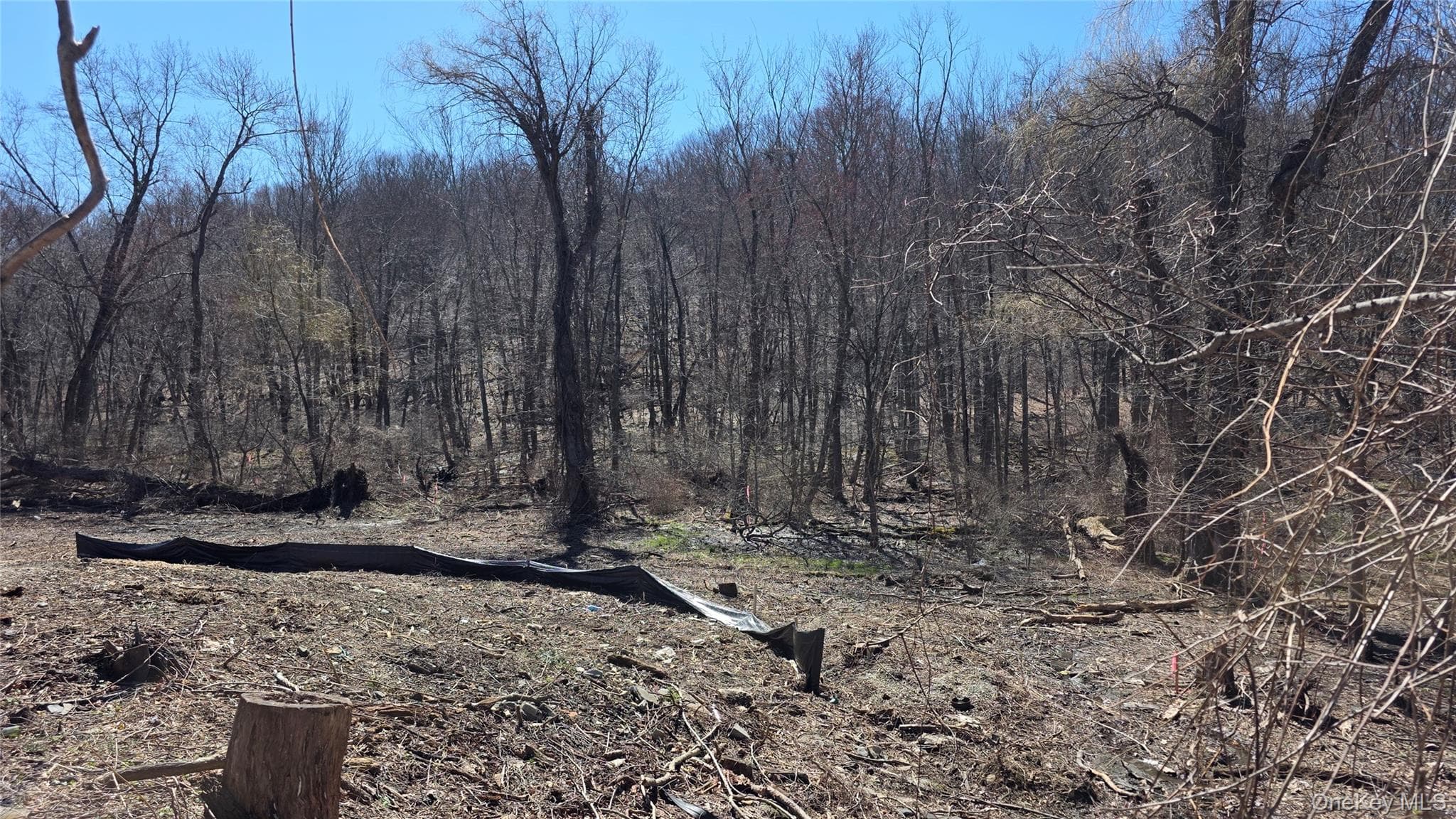 91 Barrett Hill Road photo 1