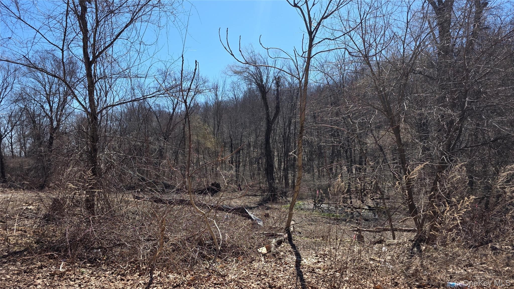 91 Barrett Hill Road thumbnail 2