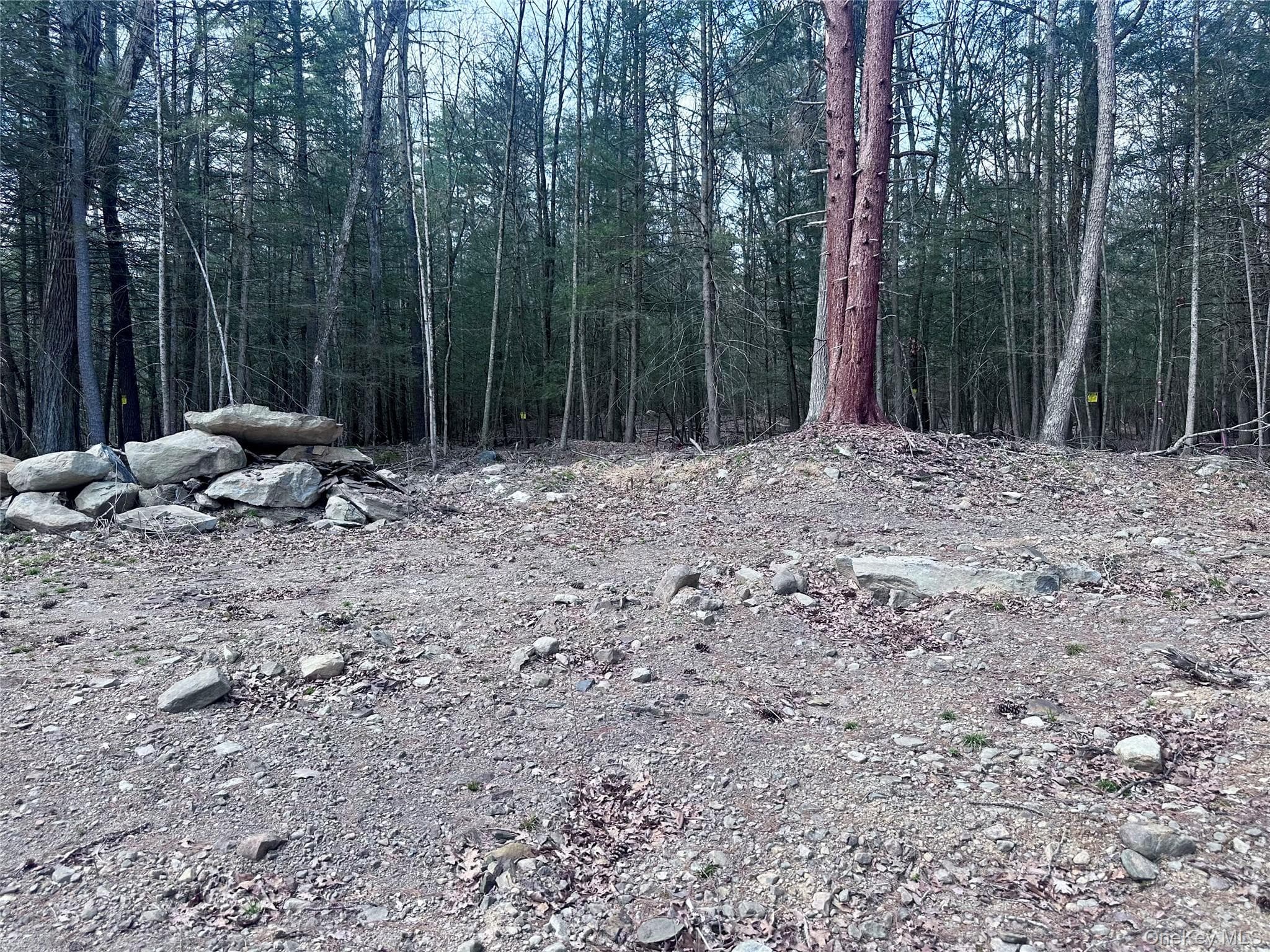 1470 County Road 2 thumbnail 5