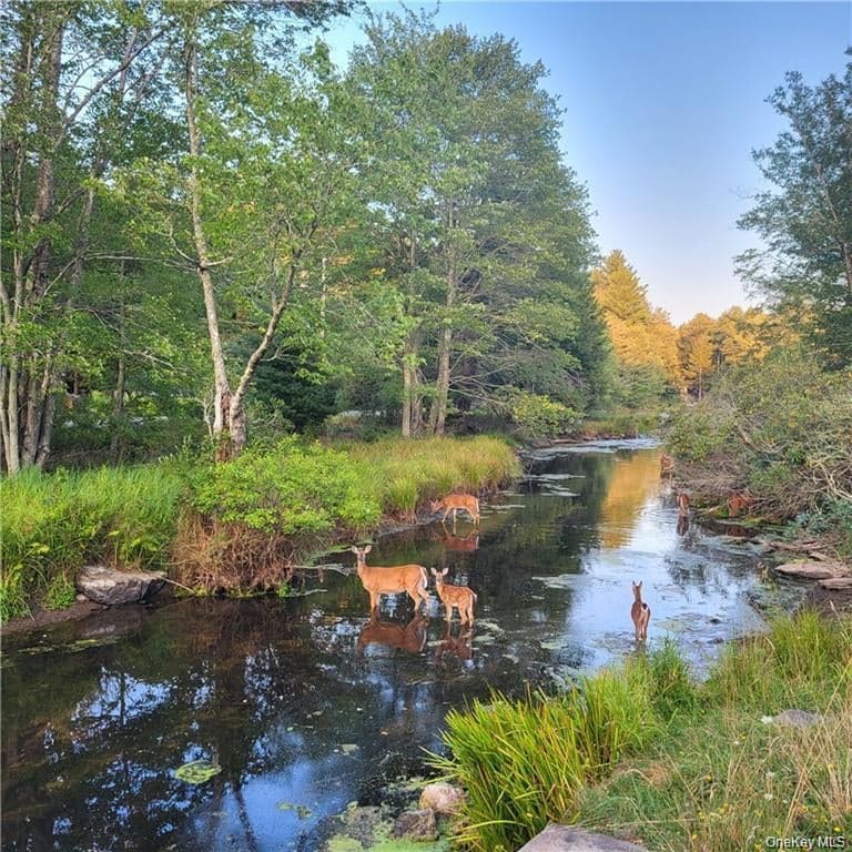 198 Pine Grove Road thumbnail 30